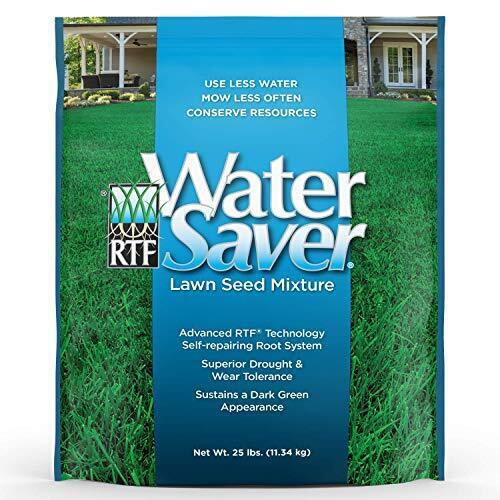 Barenbrug 11625 Water Saver Grass Seed, 25-Pound (Discontinued by Manufacturer)