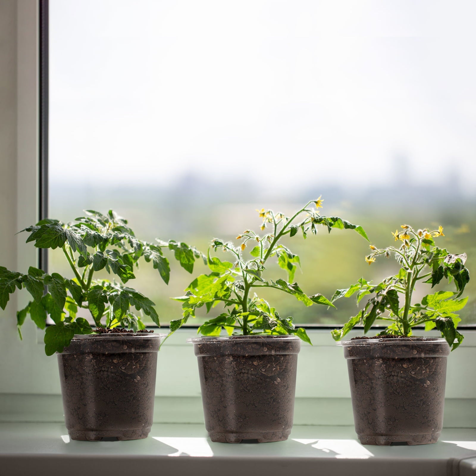 JORKING 30 Sets Plant Nursery Pots Seed Starting Pots with Humidity Dome 4