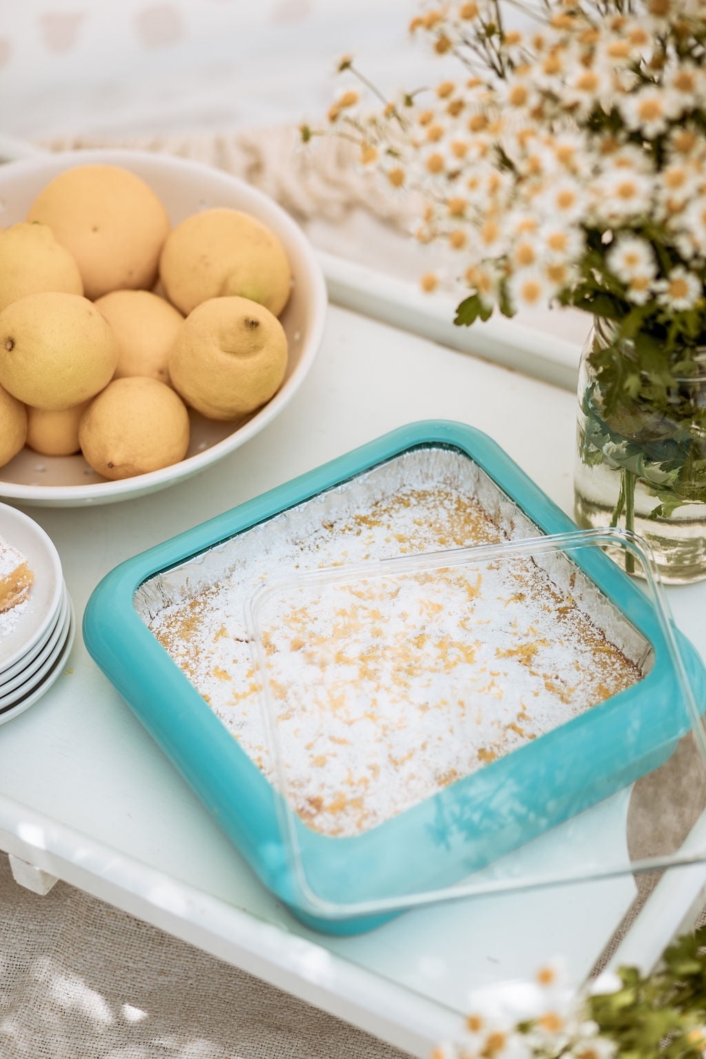 Fancy Panz Plastic 8