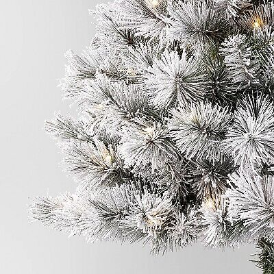 4' Pre-lit LED Flocked Douglas Fir Artificial Christmas Tree Warm White Lights
