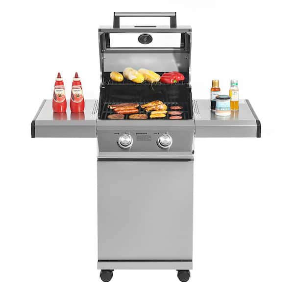 2-Burner Propane Gas Grill in Stainless with Clear View Lid and LED Controls