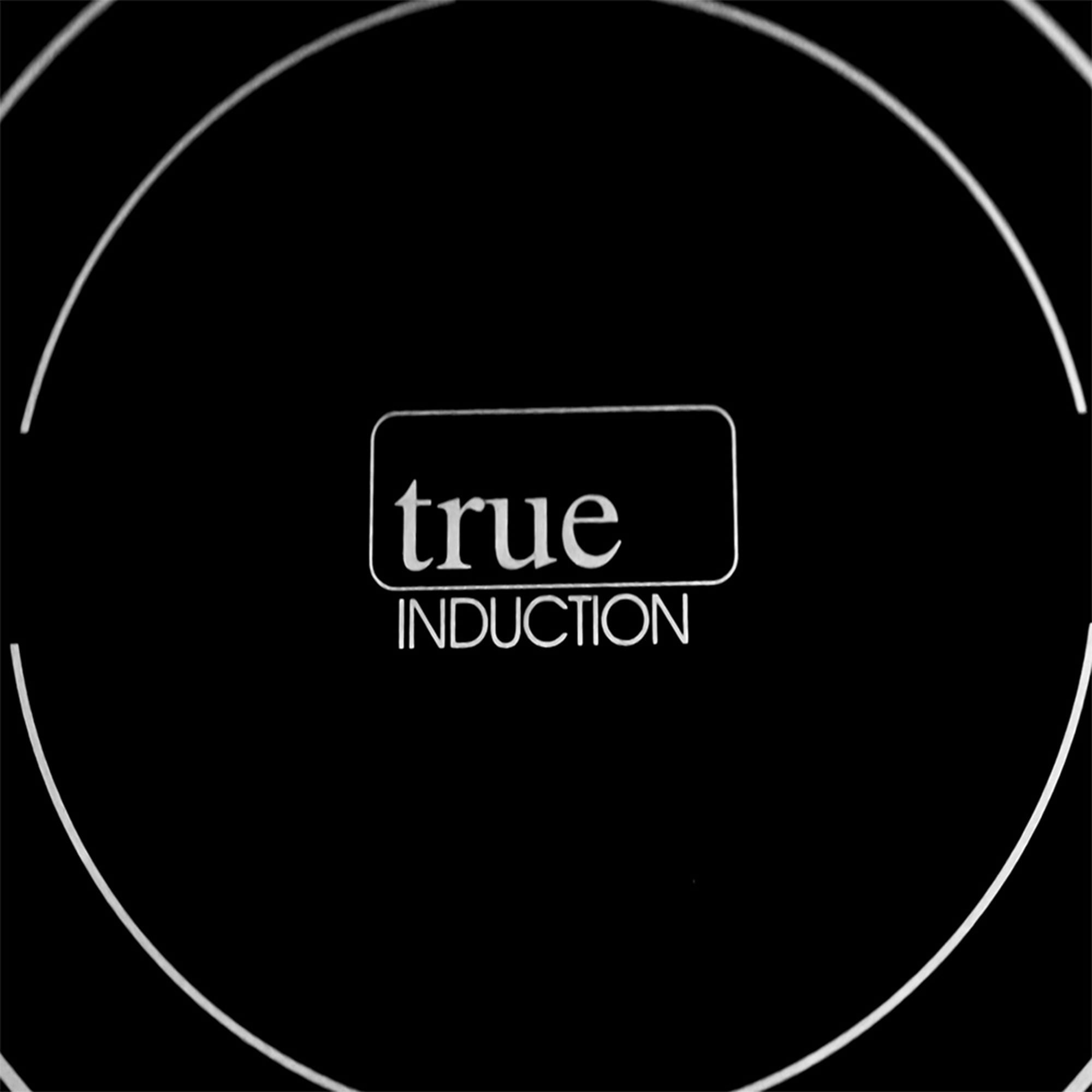 true induction ti-2b double burner cooktop- counter inset model