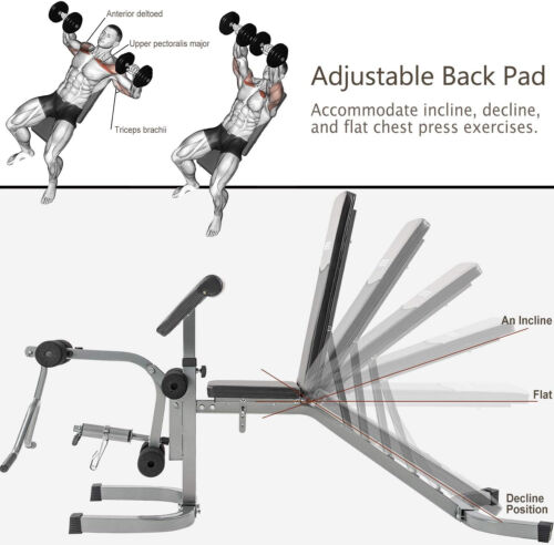 Weight Bench with Leg Extension - 6+3 Positions Adjustable Olympic Utility Bench