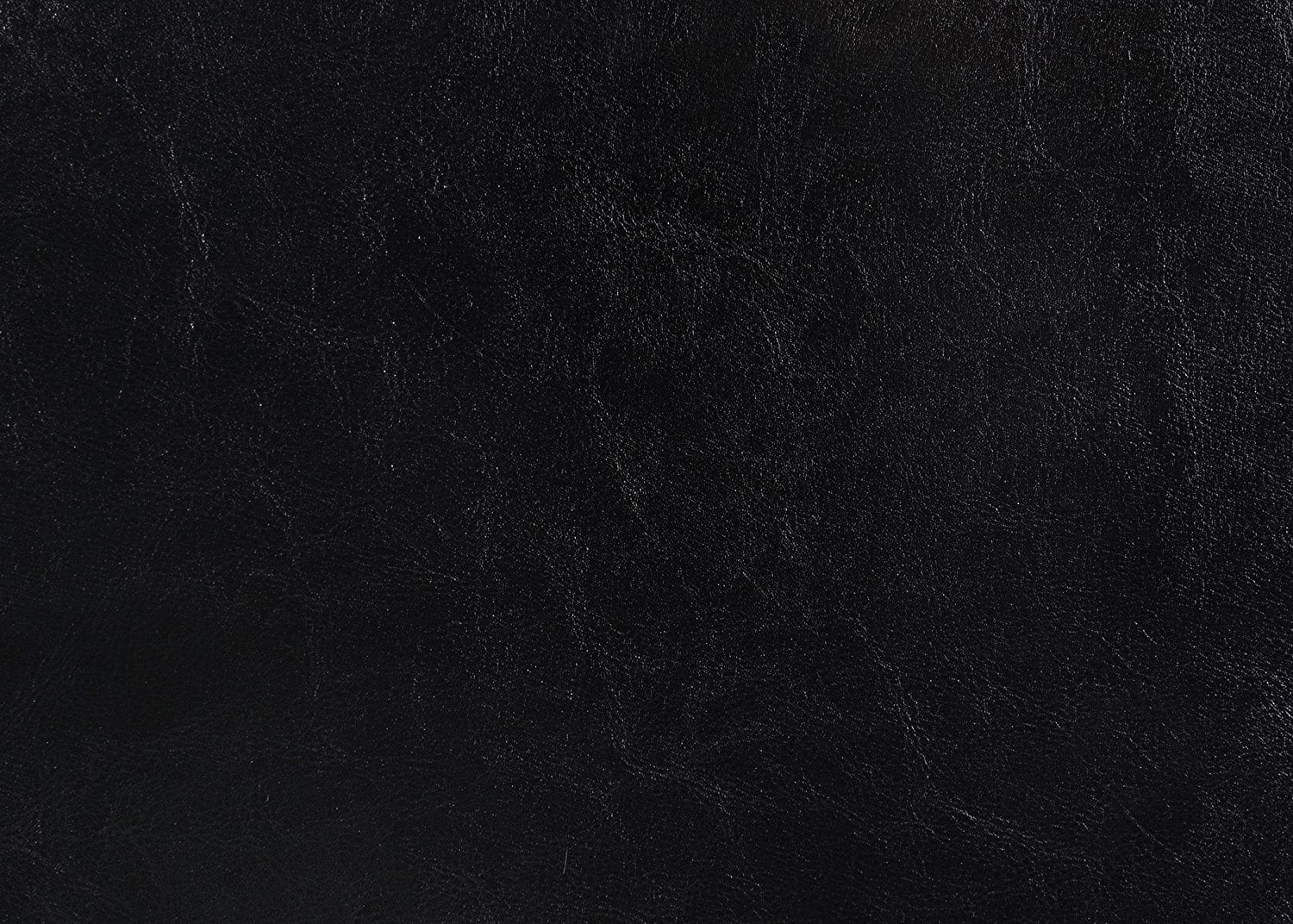 Crown Mark Erin Faux Leather Bed, Black, Queen