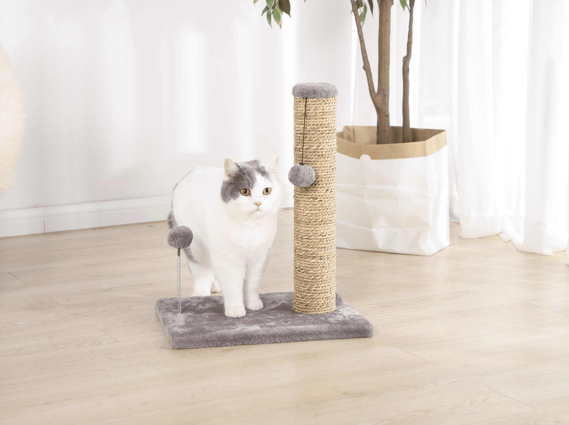 Vibrant Life Small Seagrass Scratch and Play Post, Gray, 20