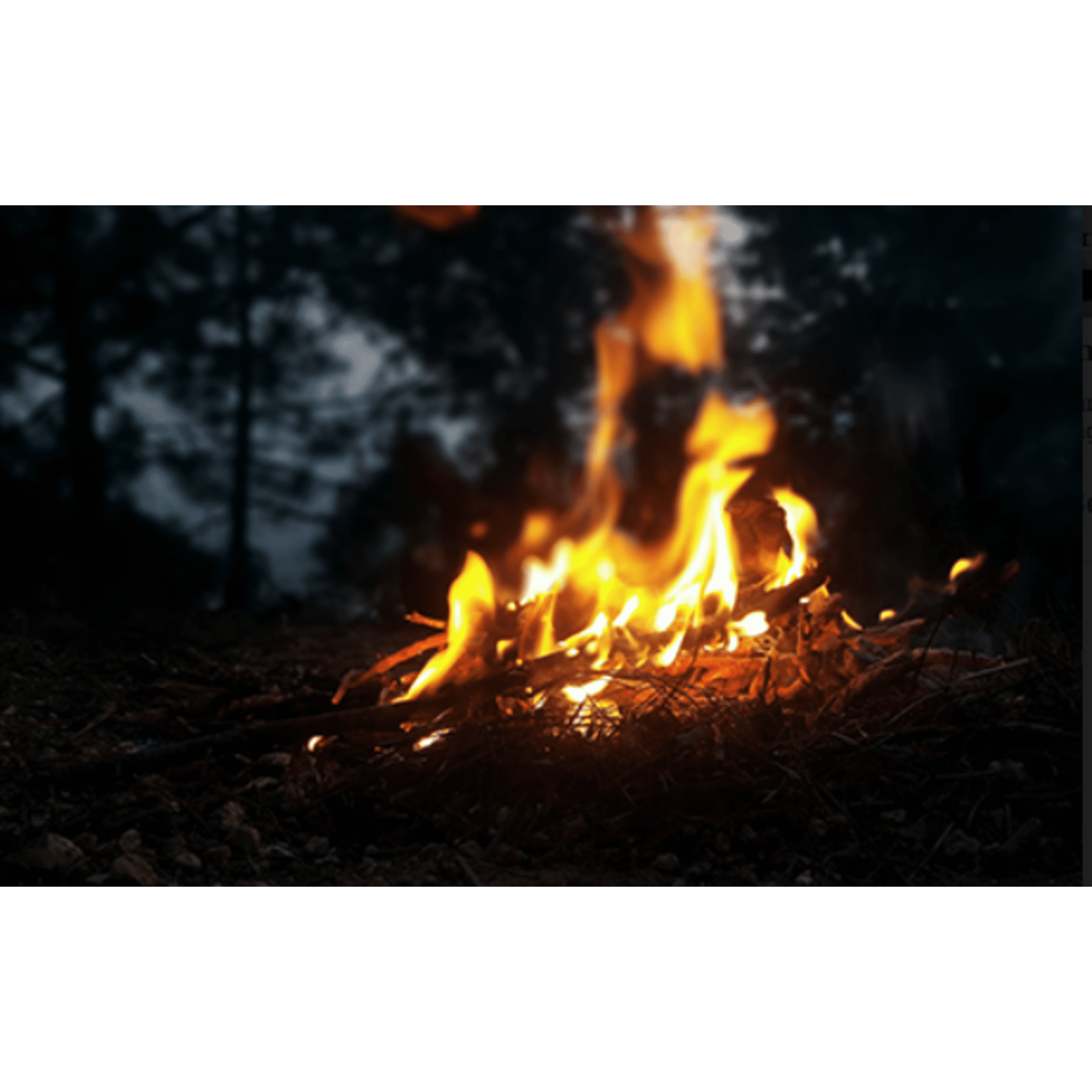 Diamond Strike-a-Fire Fire Starters, 48 Ct, Strikes like a Match