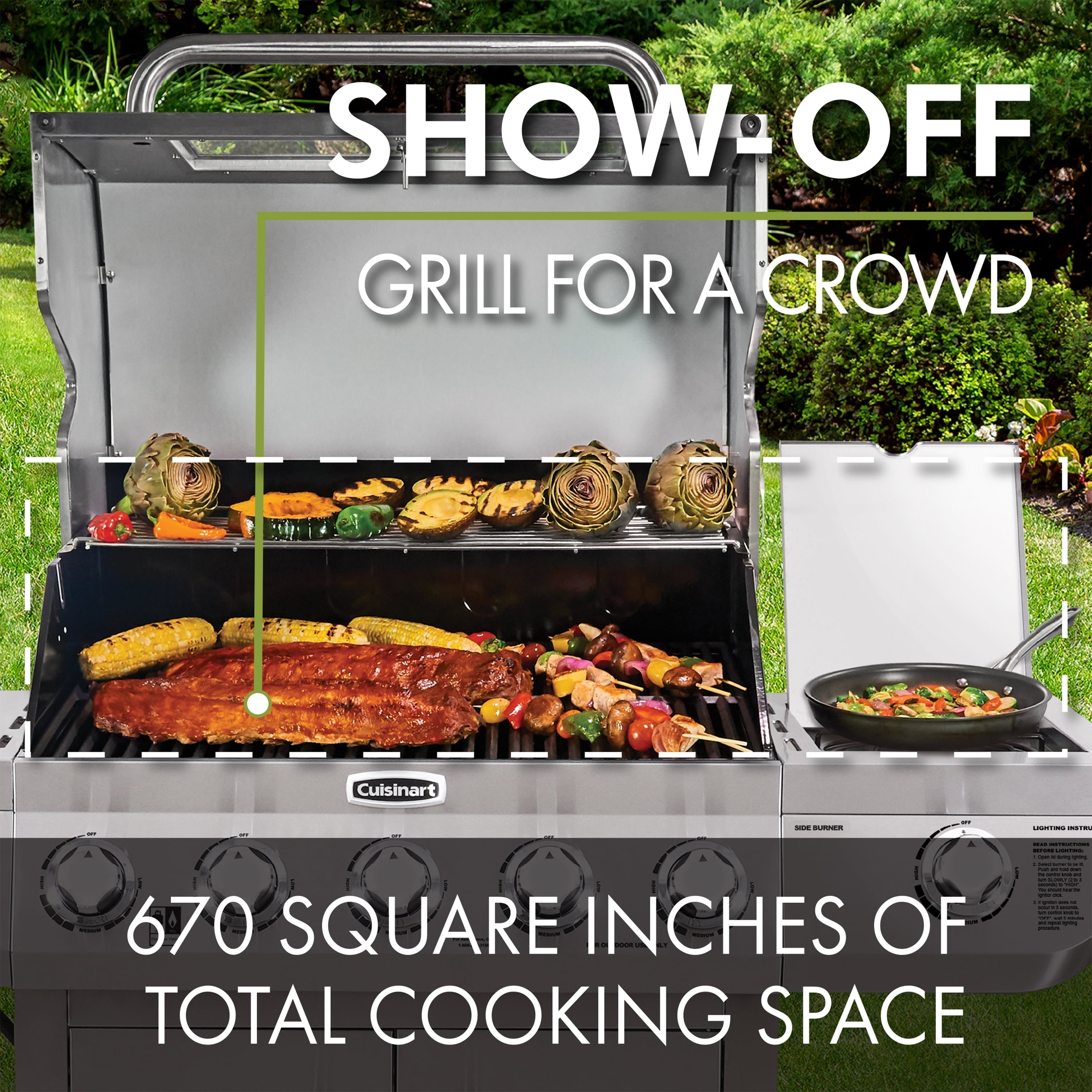 Five Burner Dual Fuel Gas Grill