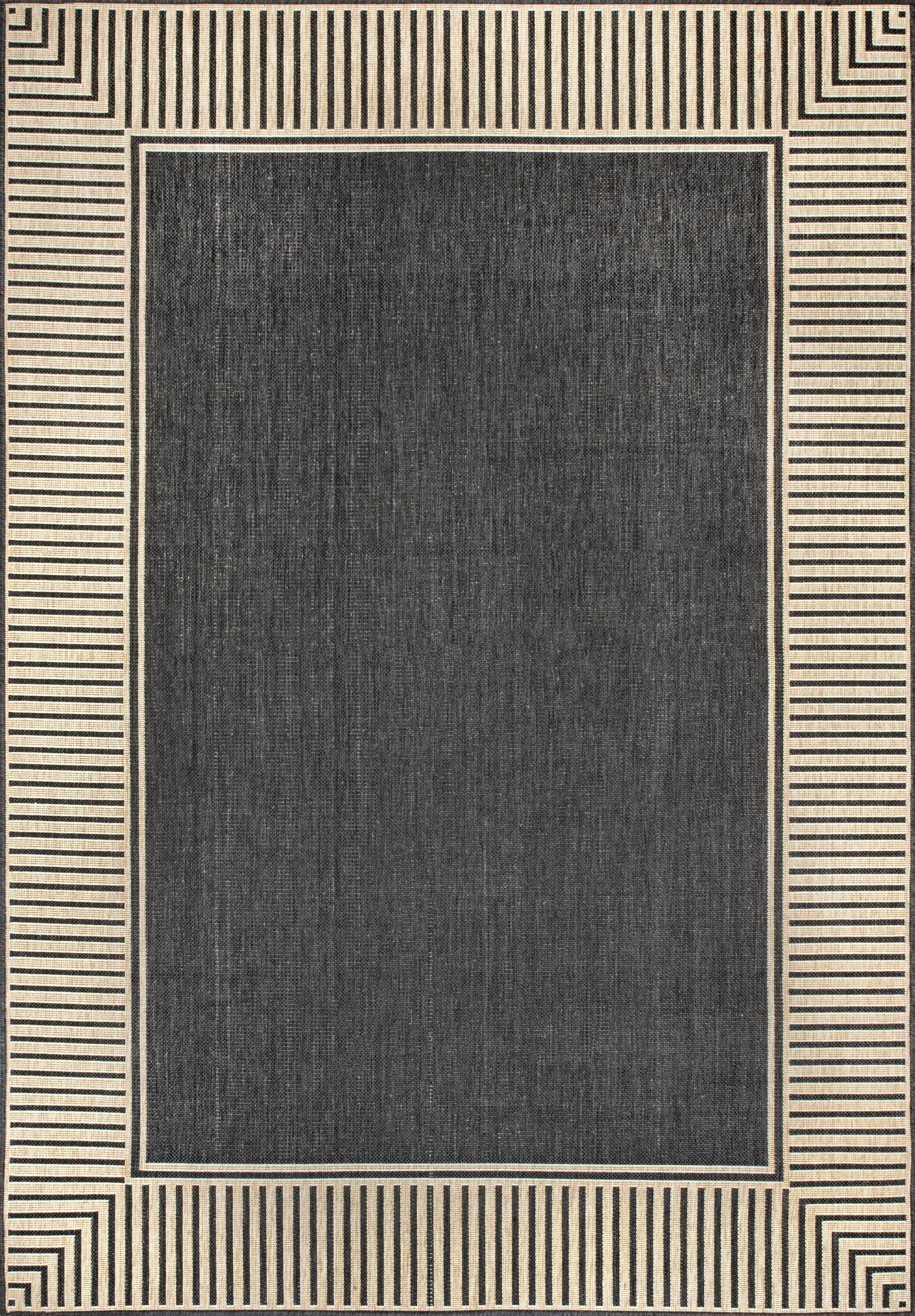 nuLOOM Asha Simple Border Indoor/Outdoor Area Rug