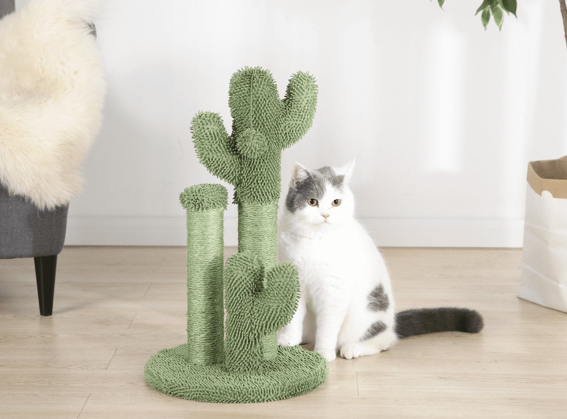 Vibrant Life Cactus Cat Scractching Post with Toy Ball,Green