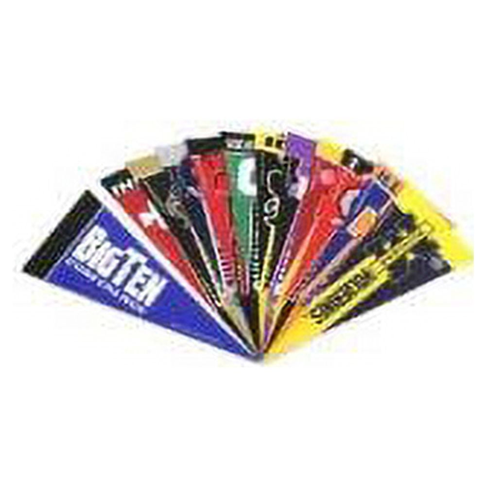 Rico Big 10 Conference Mini Pennant Set