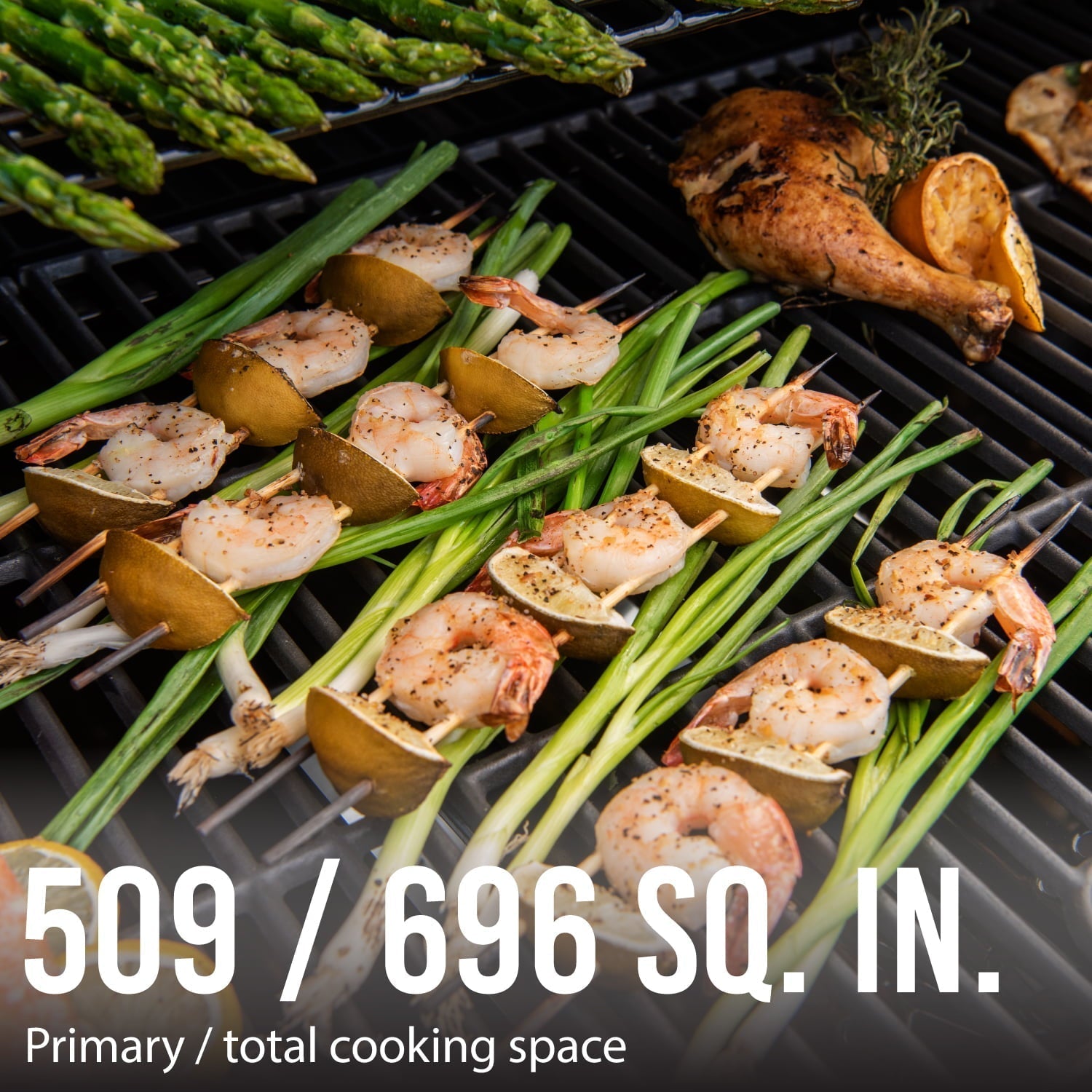 Grill 6 Burner Propane Gas Grill in Blue