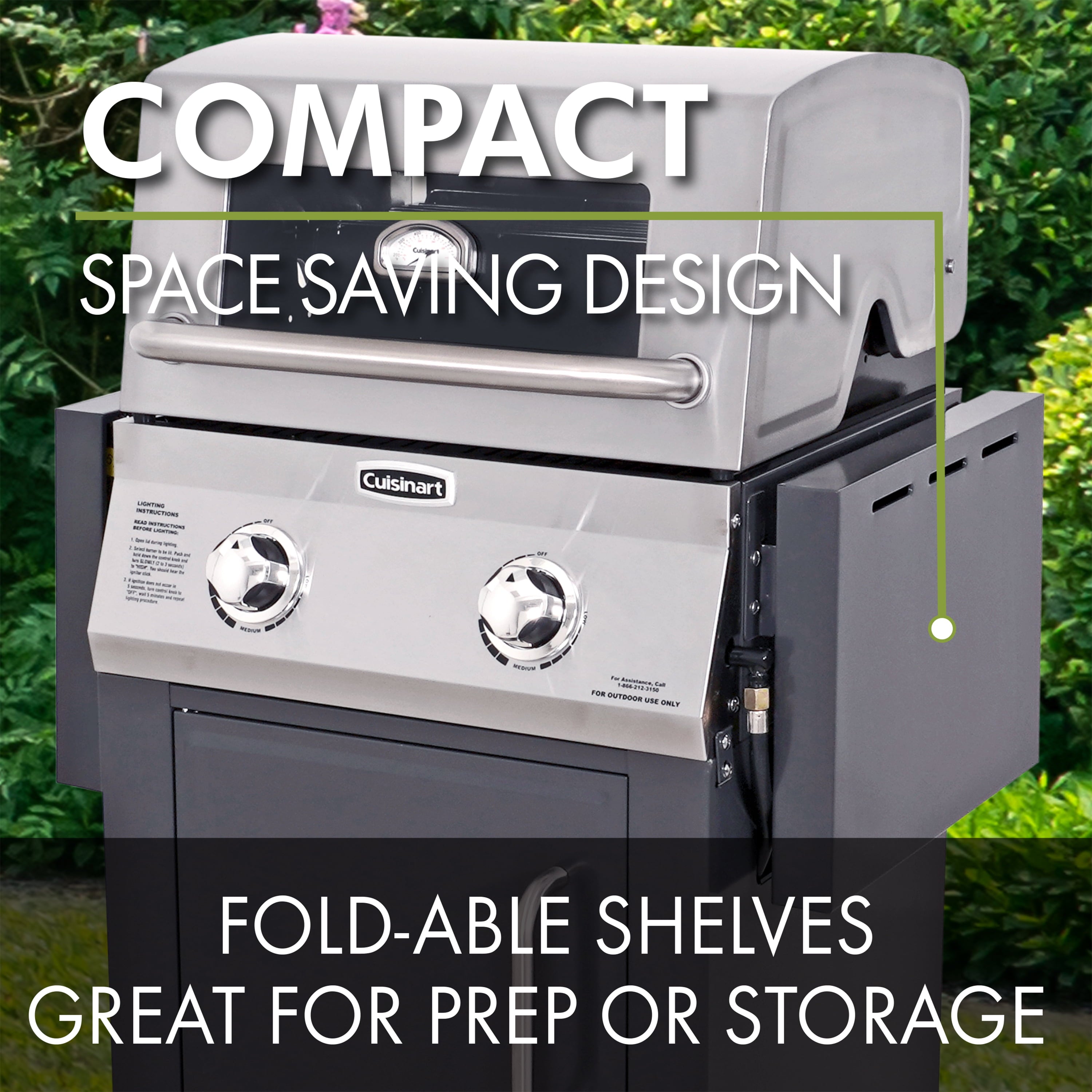 Two Burner Dual Fuel Gas Grill