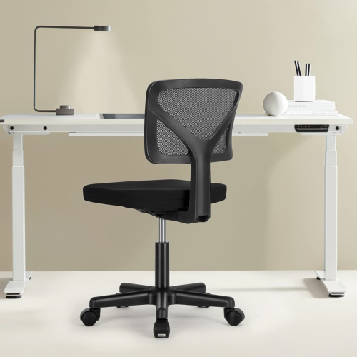 Sweetcrispy Desk Chair, Armless Office Chair, Computer Chair, Small Home Office