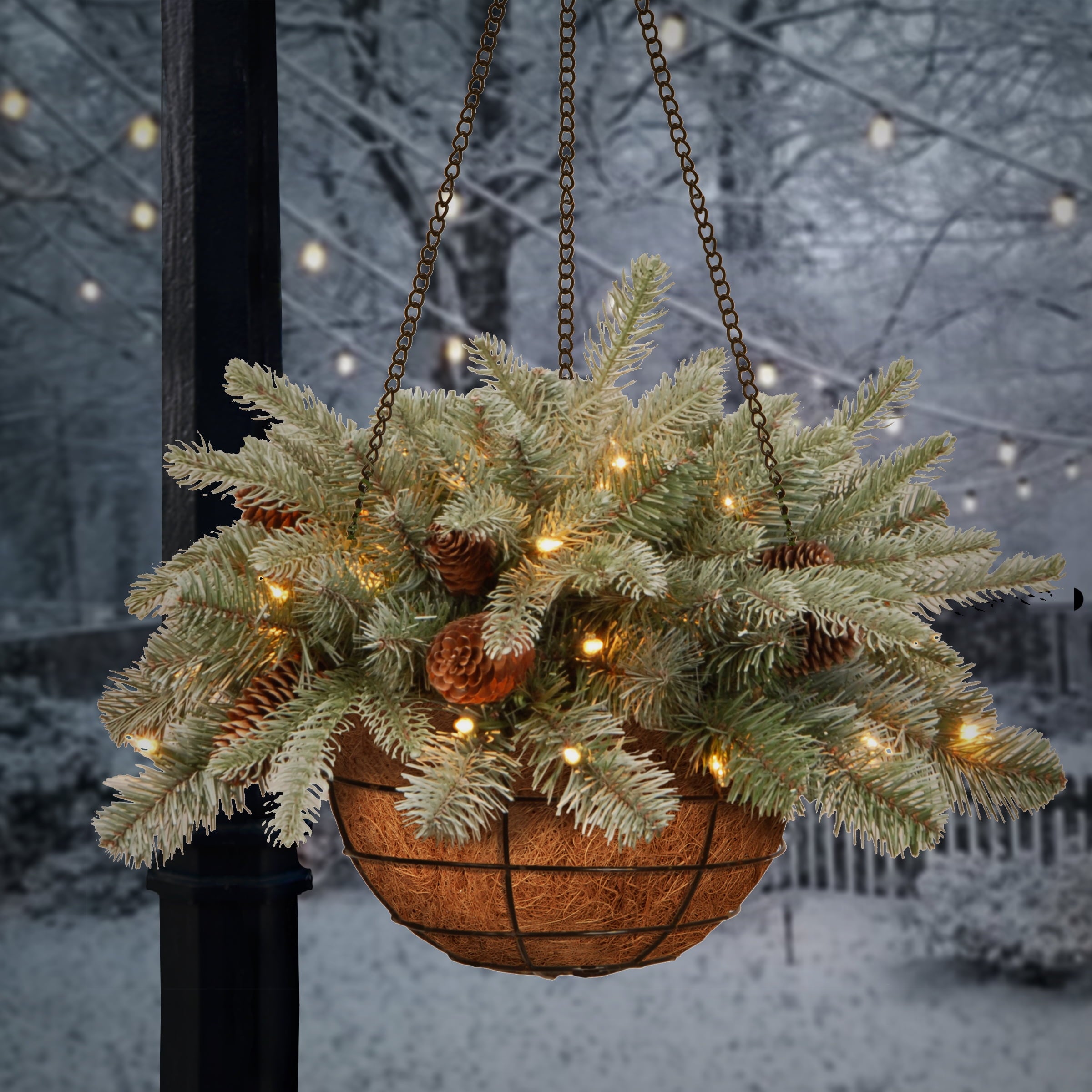 National Tree Company Pre-Lit 'Feel Real' Artificial Christmas Hanging Basket, Arctic Spruce, Decorated With Frosted Pine Cones, White Lights, Christmas Collection, 20 Inches