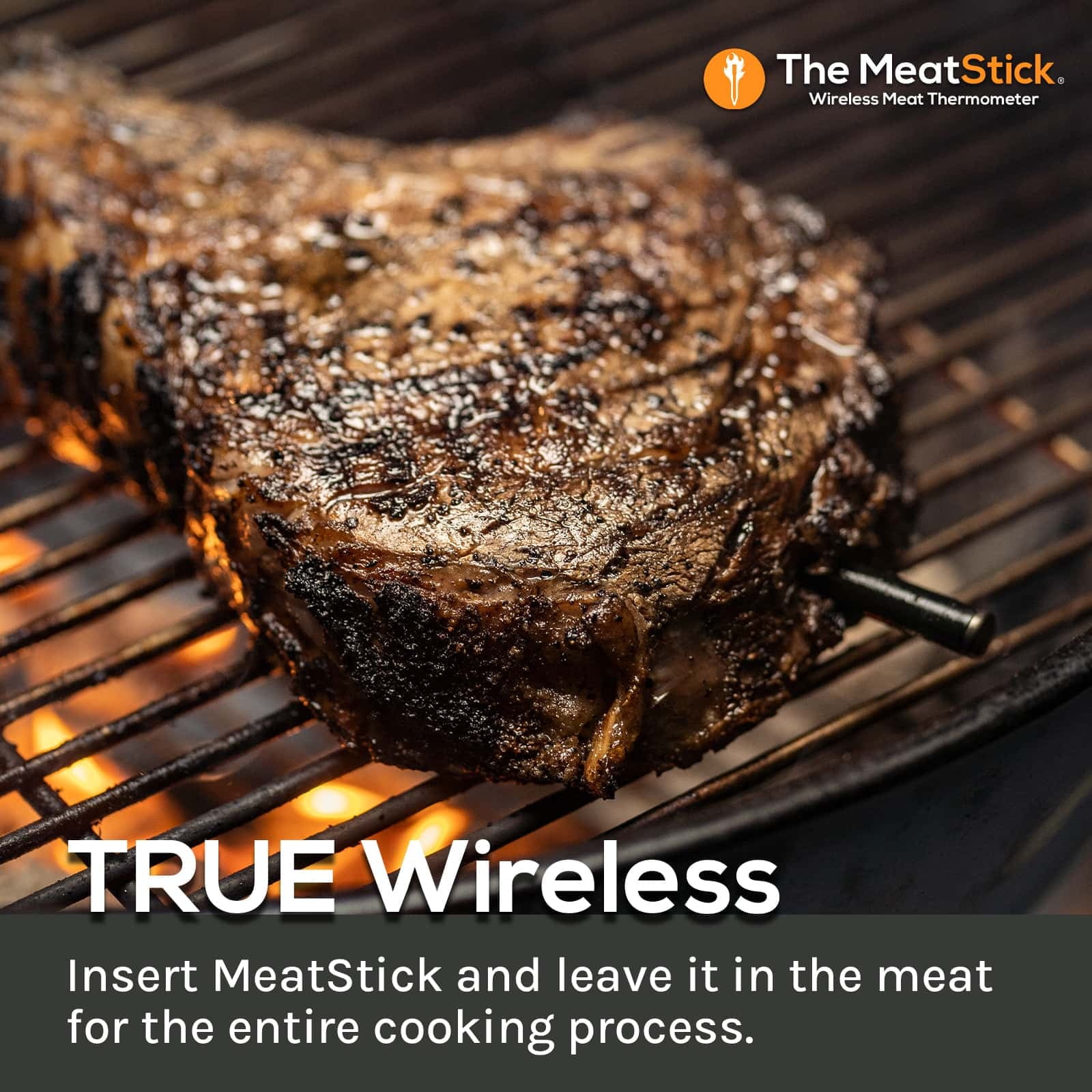 MeatStick Set | Wireless Meat Thermometer with Bluetooth | for BBQ, Kitchen, Smoker, Air Fryer, Deep Frying, Oven, Sous Vide, Grill, Rotisserie | Limited Range