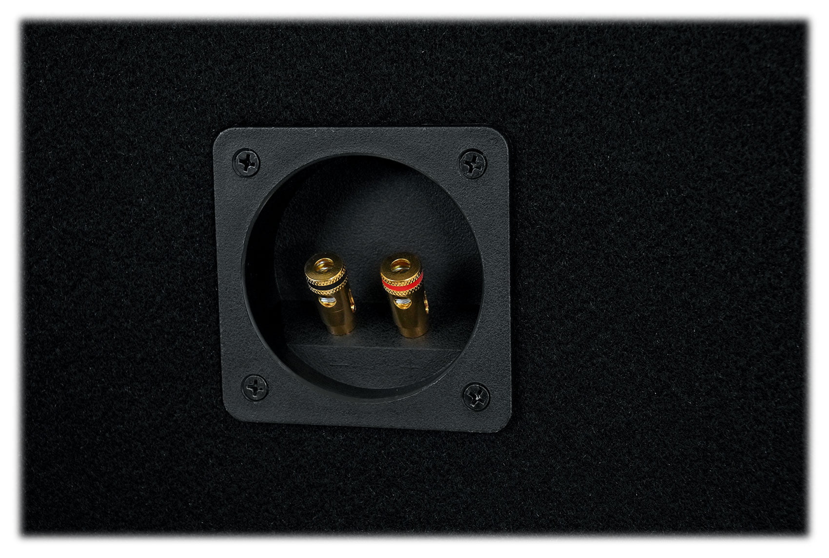 Rockville RV1010P Dual 10