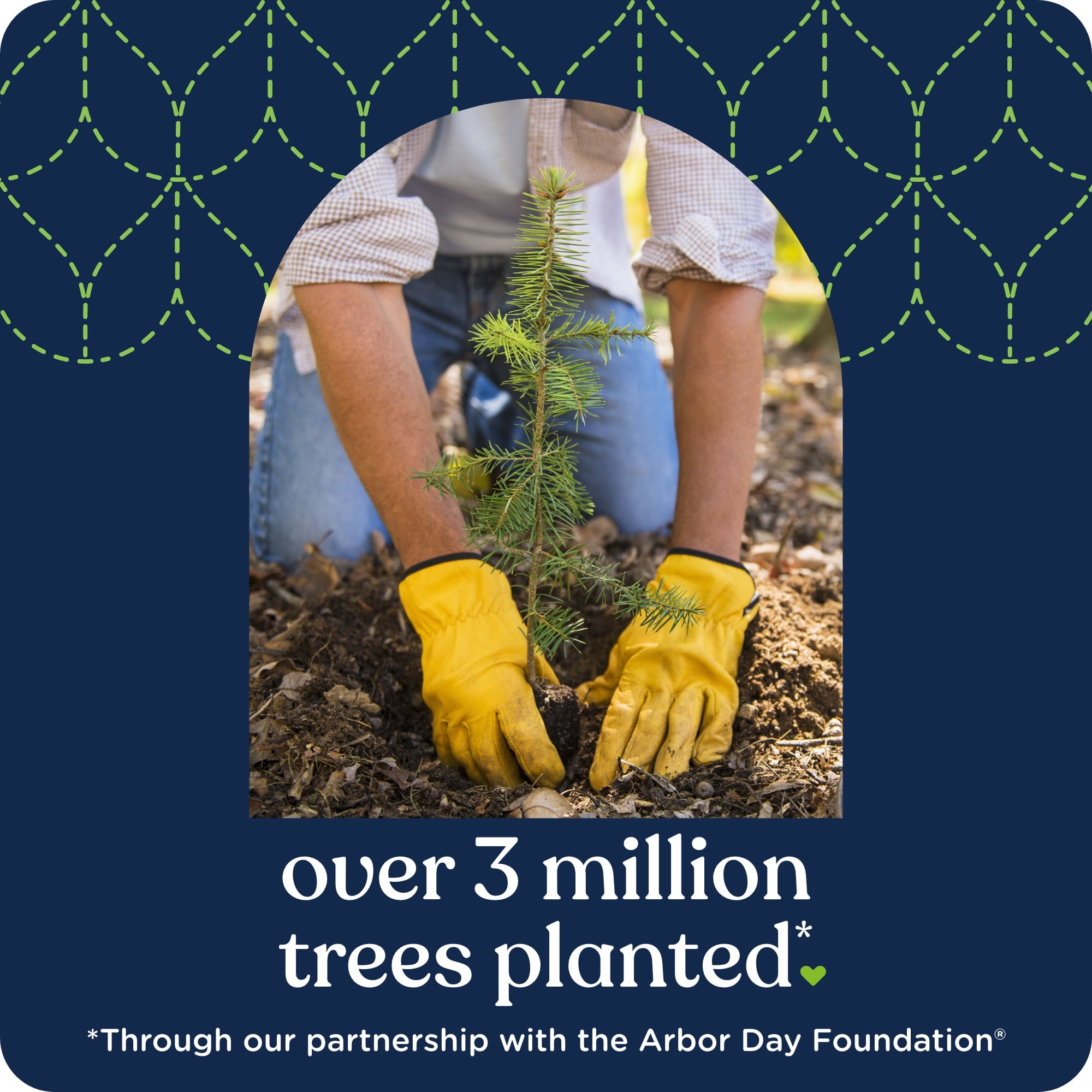 Quilted Northern Ultra Soft & Strong 12 Mega Rolls, 5X Stronger, Premium Soft Toilet Paper