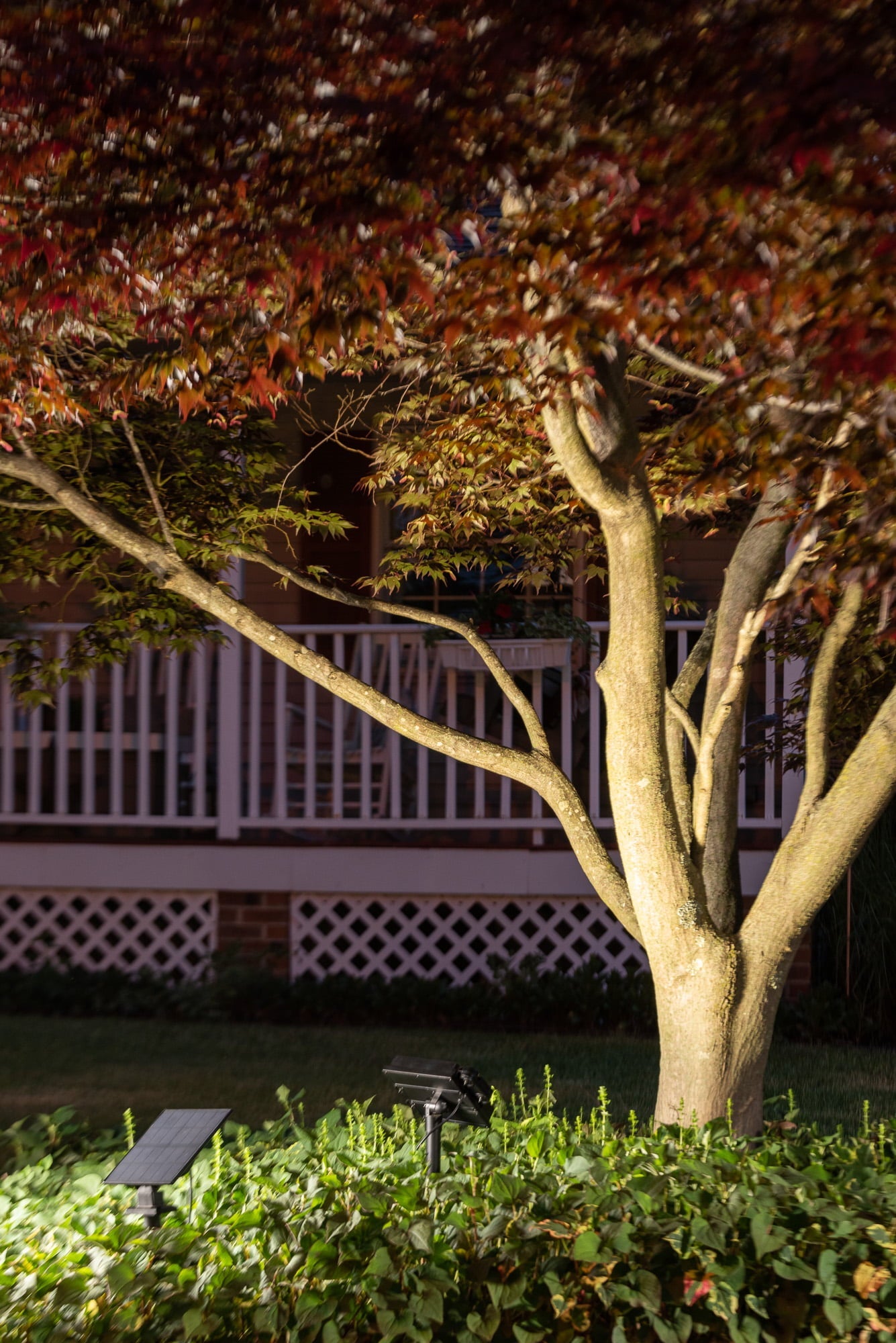 flexRAY Solar Powered LED Landscape Light