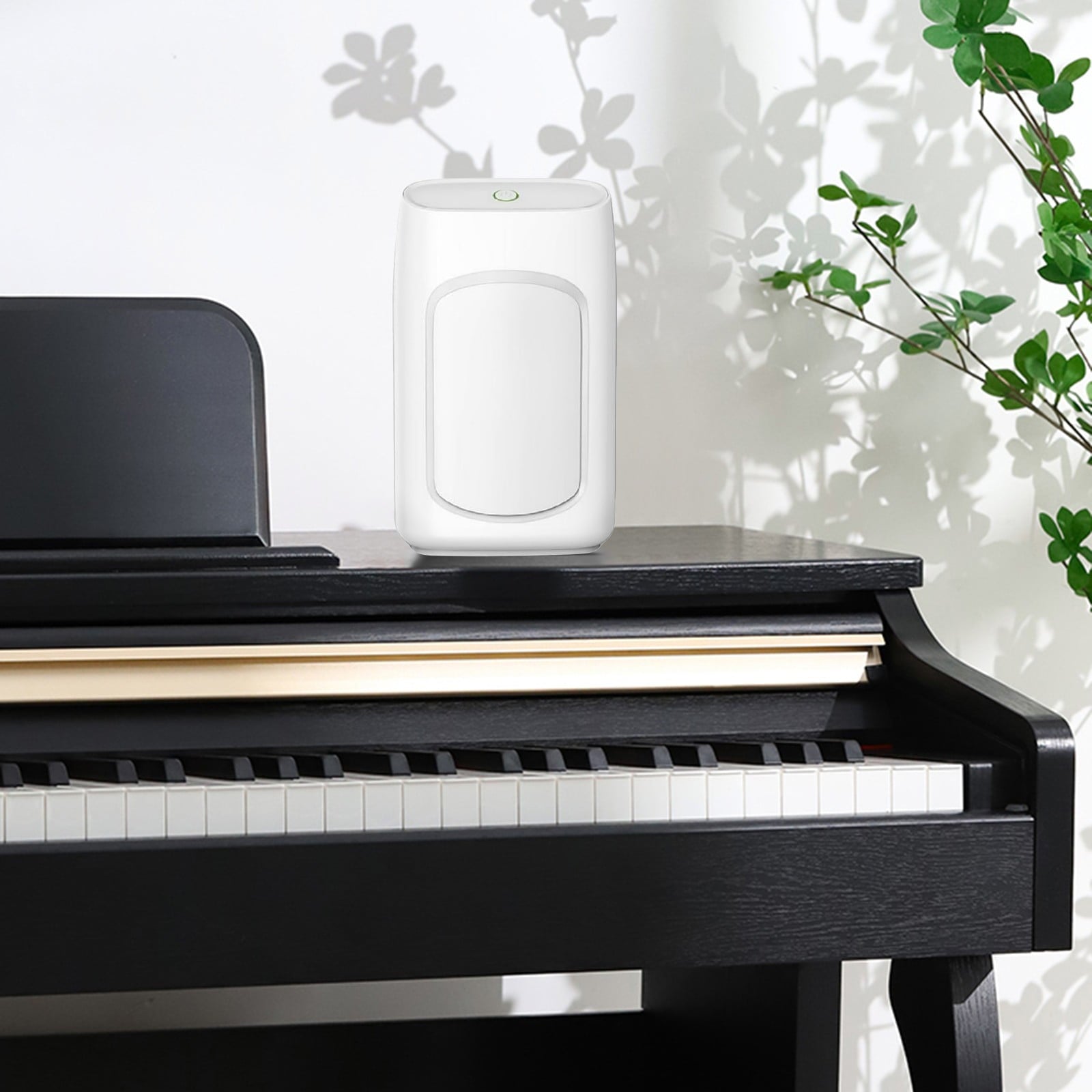 Augper Clearance Dehumidifier for Home, Humidity with Auto Shut off, Auto Drain or Manual Drainage, Water Tank Capacity for Basements, Bedroom, Bathroom