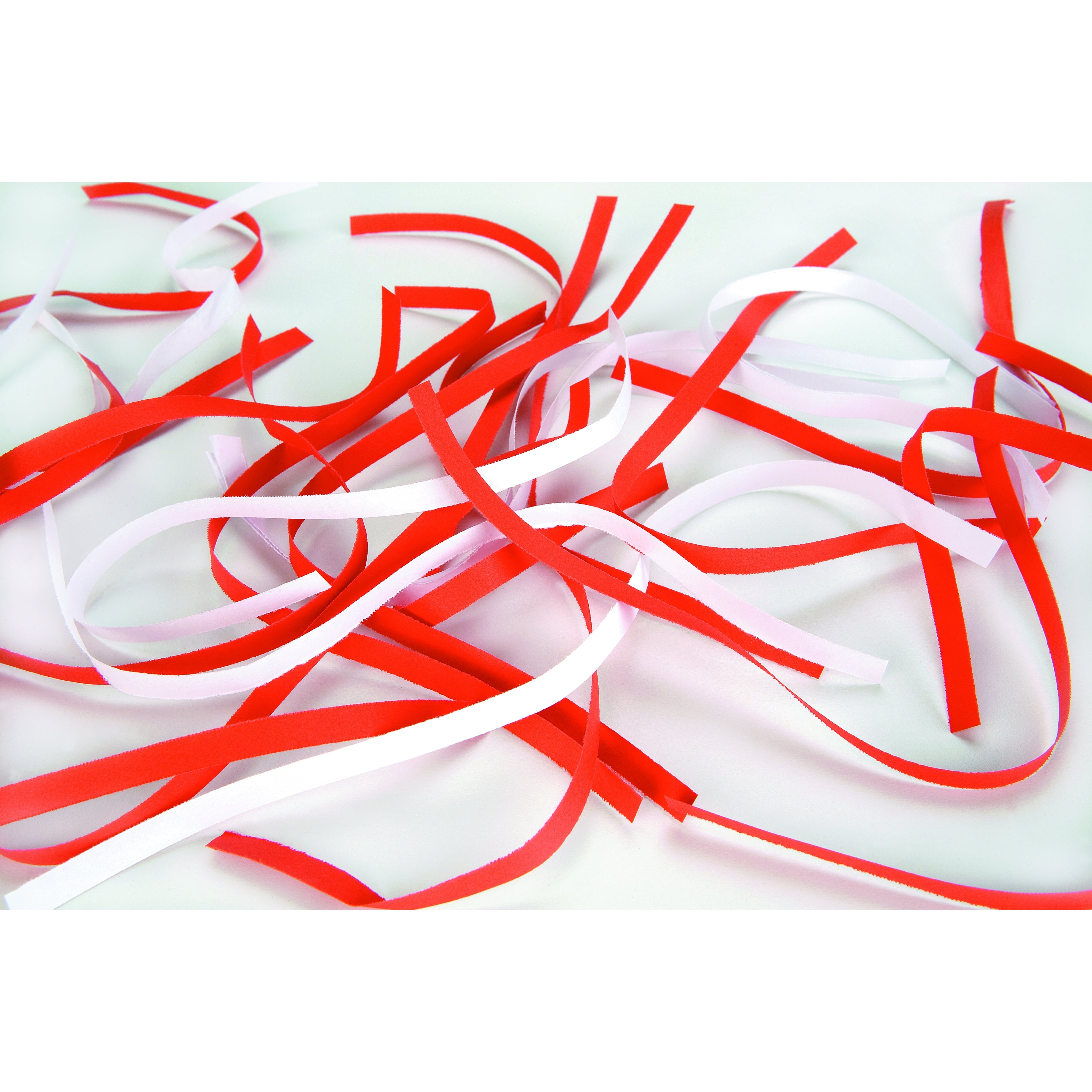 HSM of America 1840 Securio B34 Professional Strip-cut