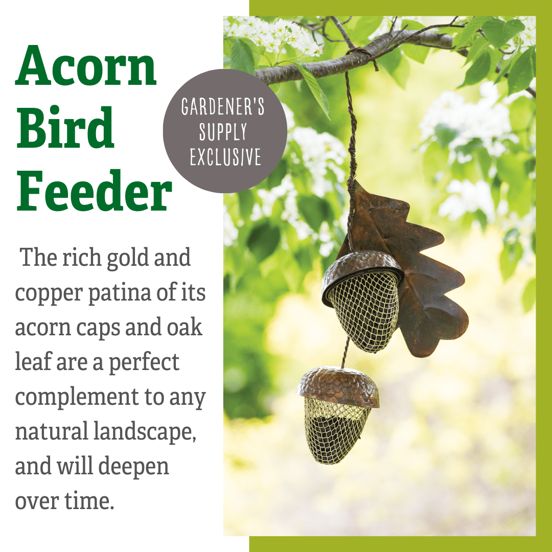 Acorn Bird Feeder