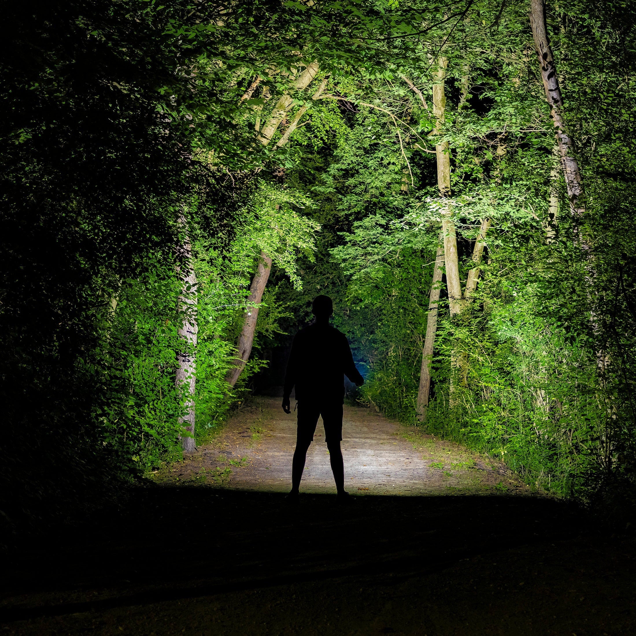 Kodiak Kolossus Rechargeable Tactical Flashlight COB LED Light Output up to 15,000 Lumens