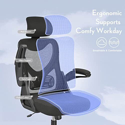 Office Chair - Ergonomic Desk Chair with Adjustable 2D Headrest & Lumbar & Ar...