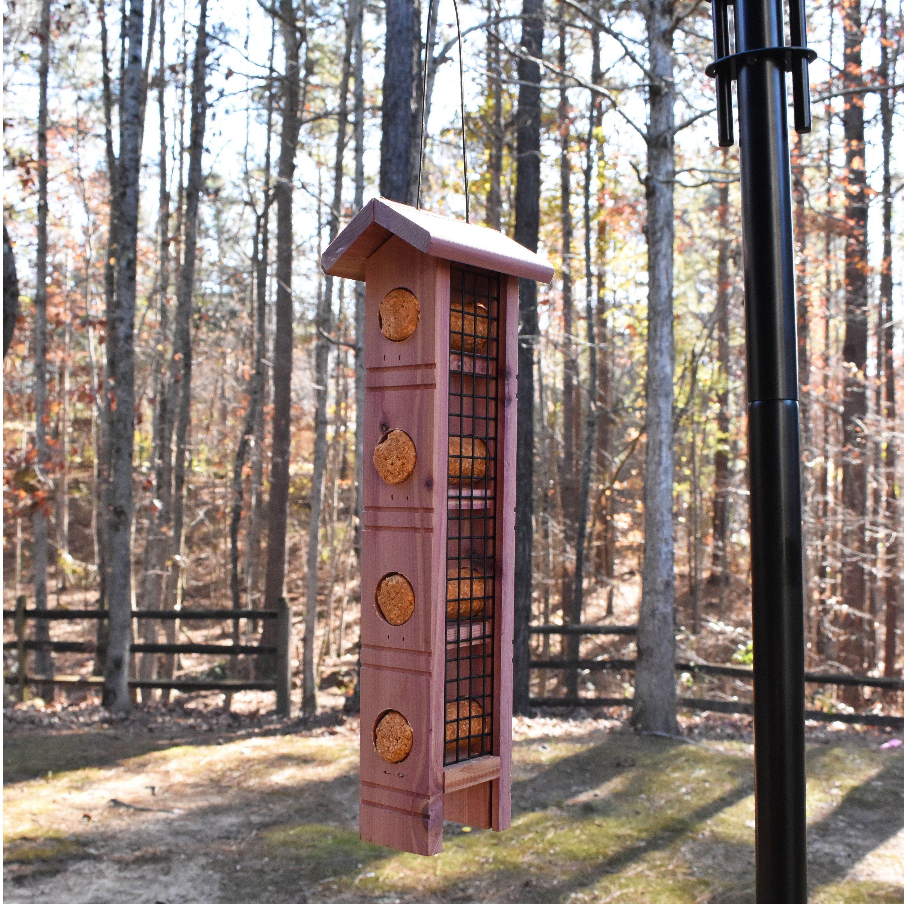Pennington Red Cedar Wild Bird Suet Feeder, 4 Plug Capacity