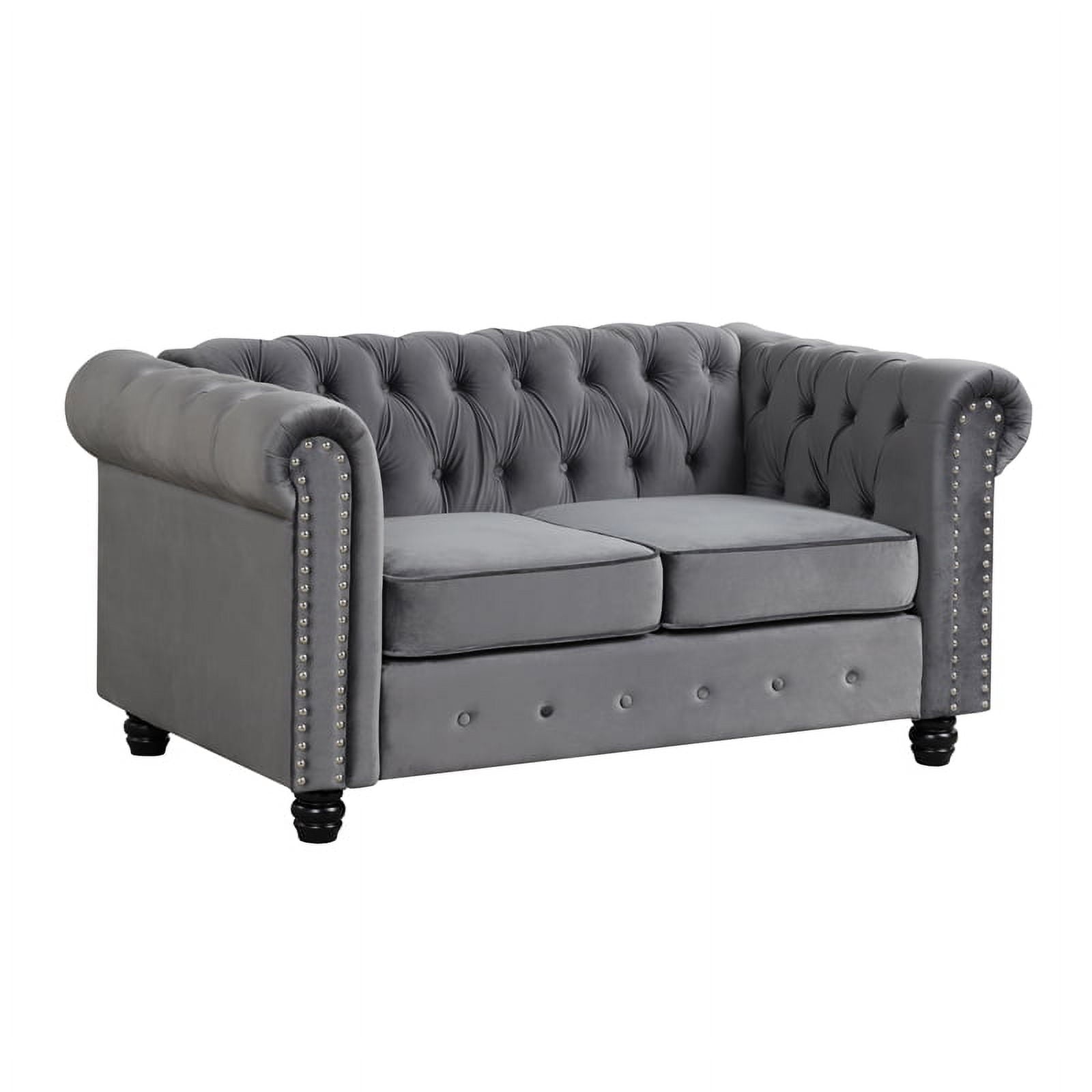 RN Furnishings modern sofa Loveseat velvet fabric Living room furniture Set-Gray