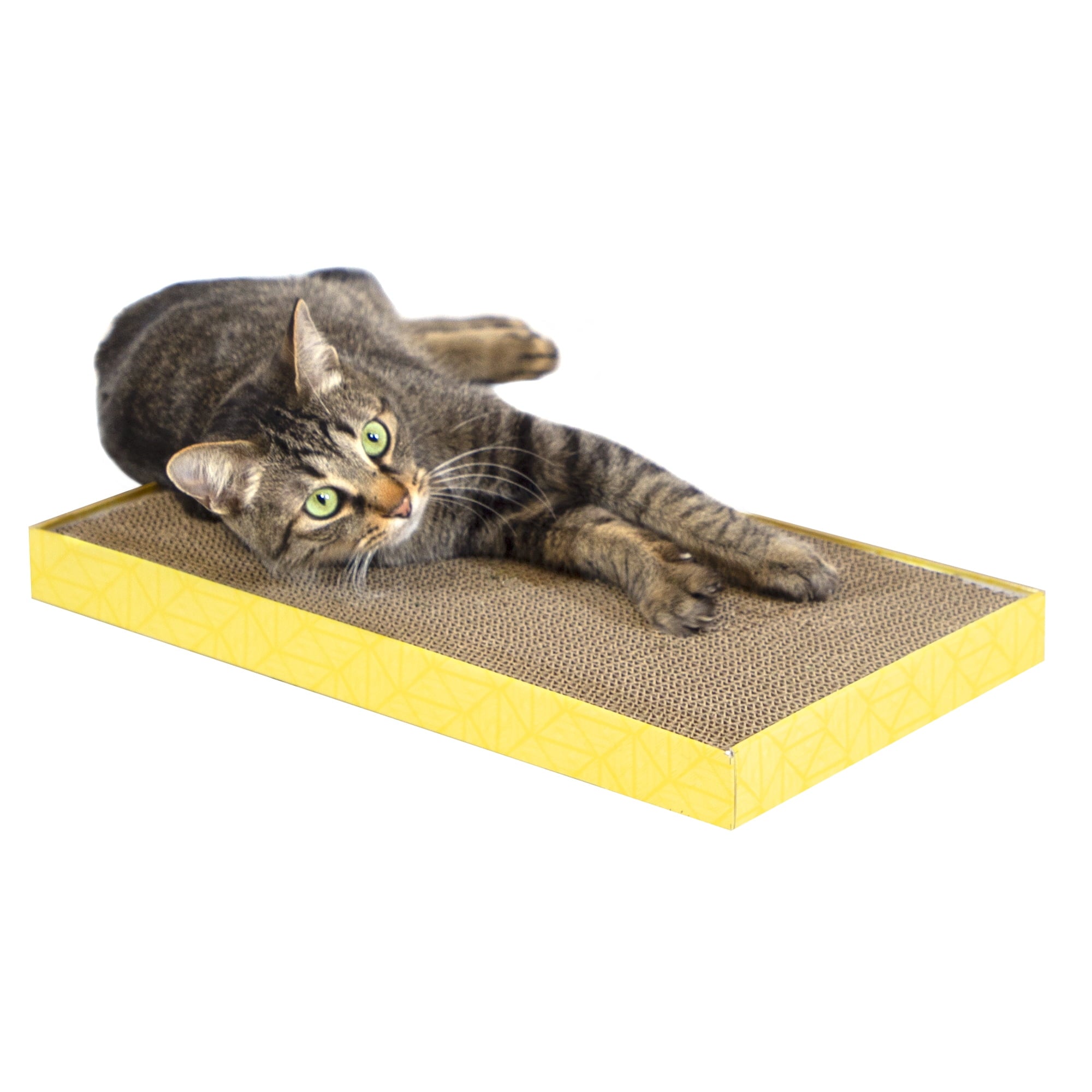 XL Corrugate Cat Scratchers (3-Pack)
