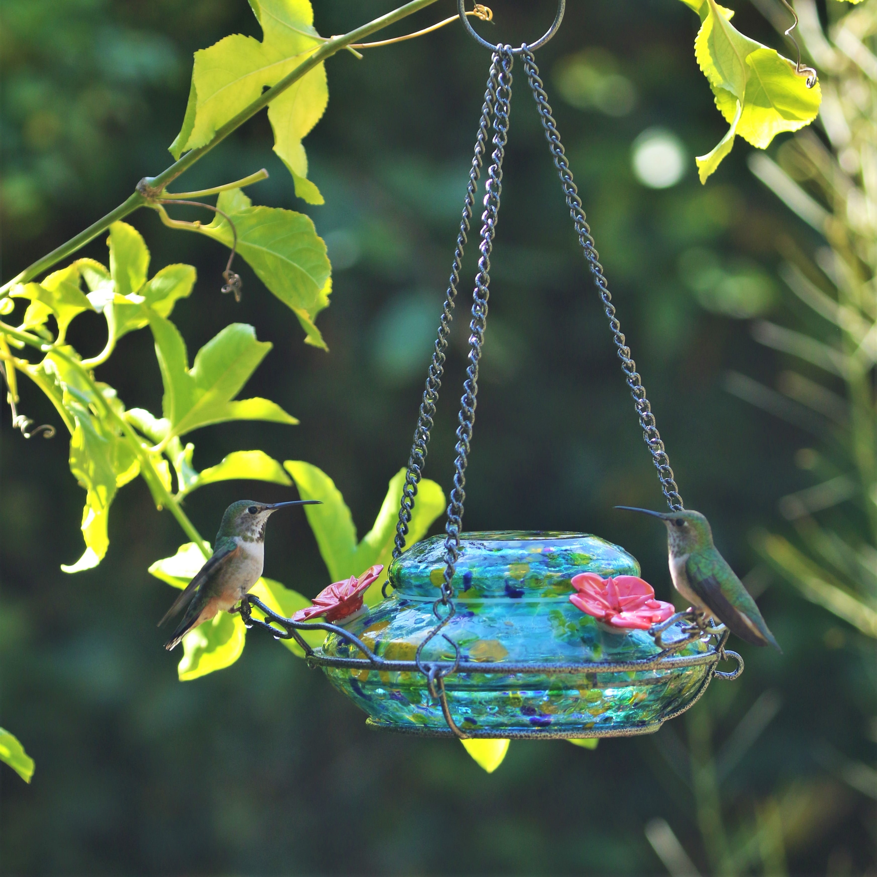 Wild Wings Artisan Glass Solar-Powered Illuminated Top Fill Hummingbird Feeder 16 oz, Blue Spring Rain