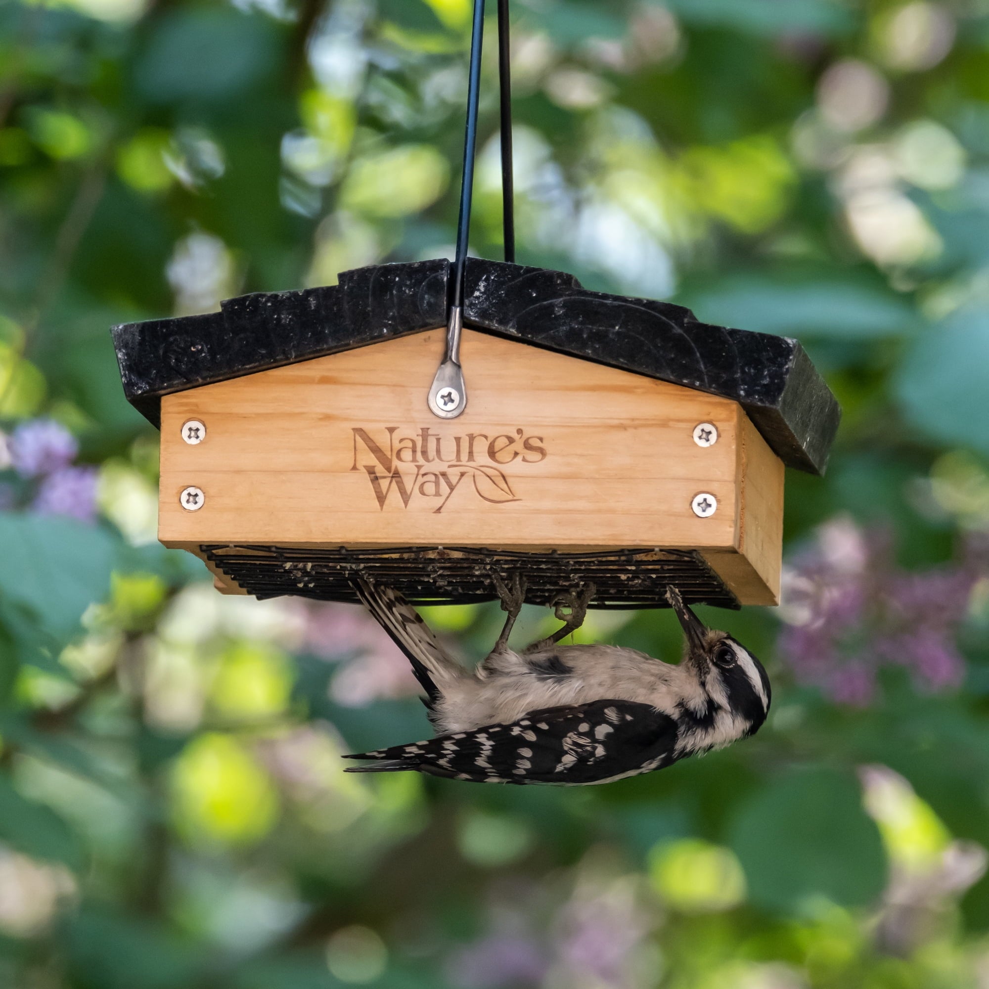 Nature's Way Cedar Suet Upside-Down Bird Feeder 1 Cake, Brown