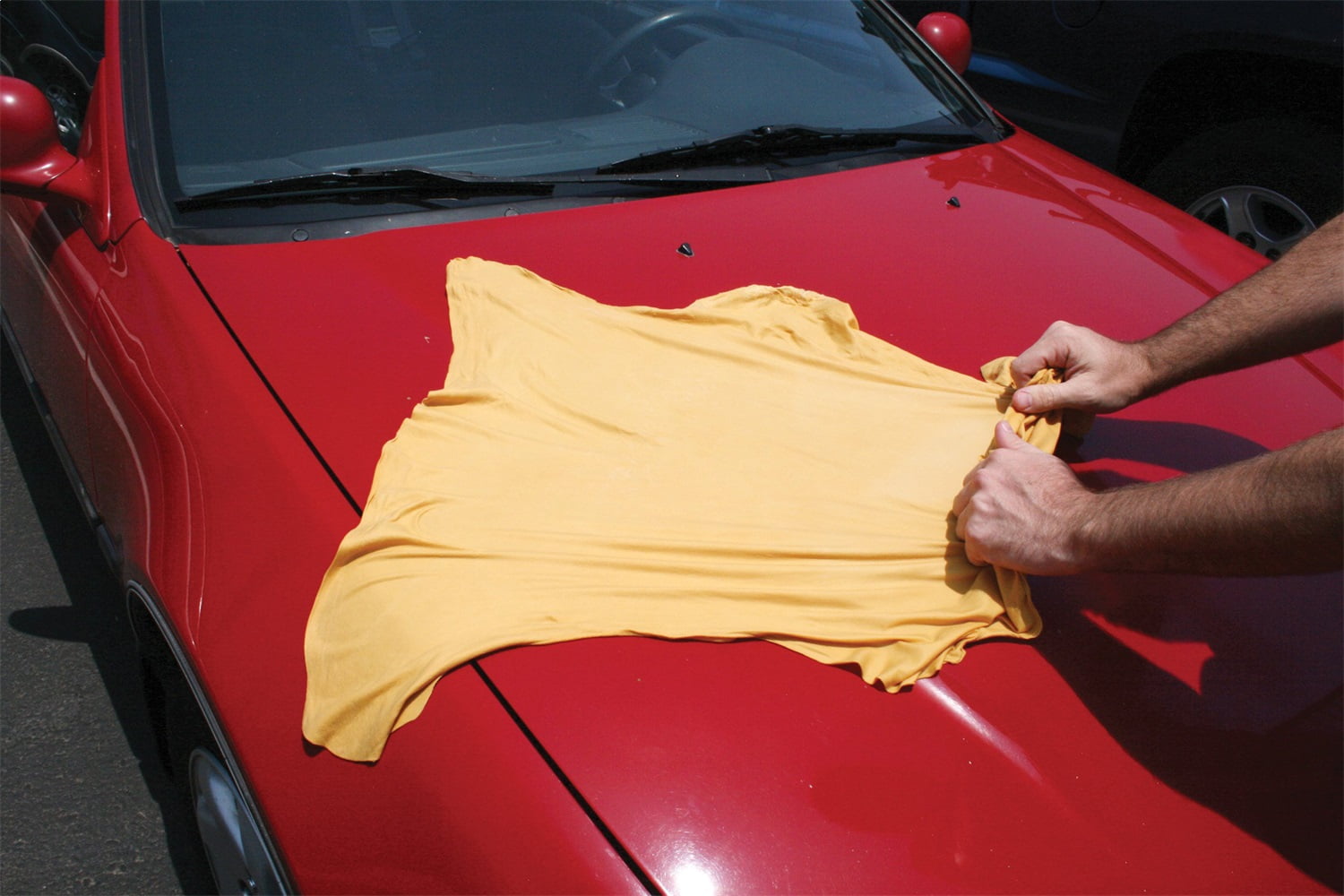 Carrand CRD40204 All Natural Sheepskin Chamois Geniune Chamois