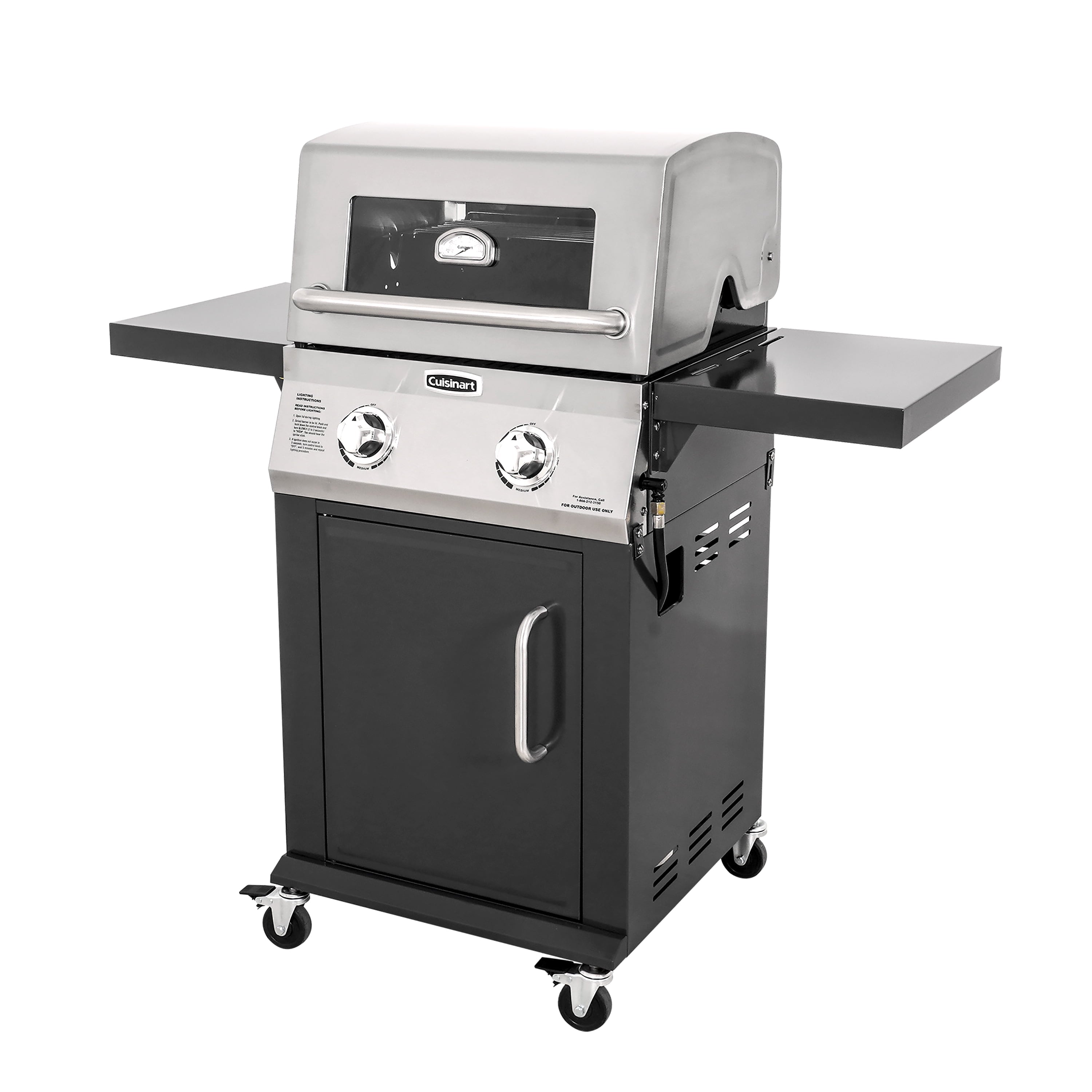Two Burner Dual Fuel Gas Grill