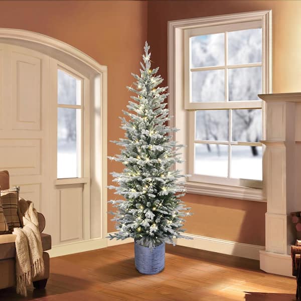 6 ft. PreLit Potted Flocked Arctic Fir Pencil Artificial Christmas Tree