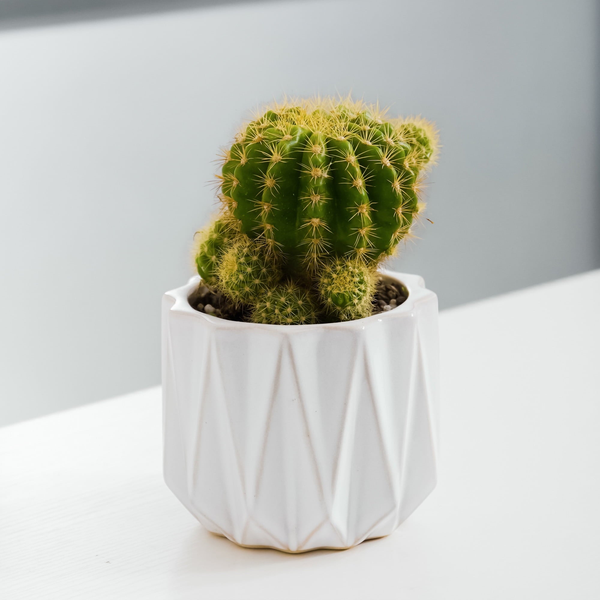 Better Homes & Gardens Pottery 5