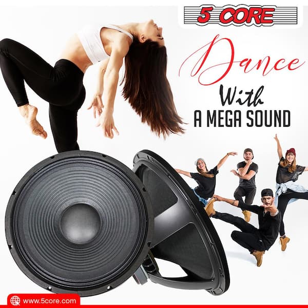 18 in. Replacement Loud Speaker Subwoofer