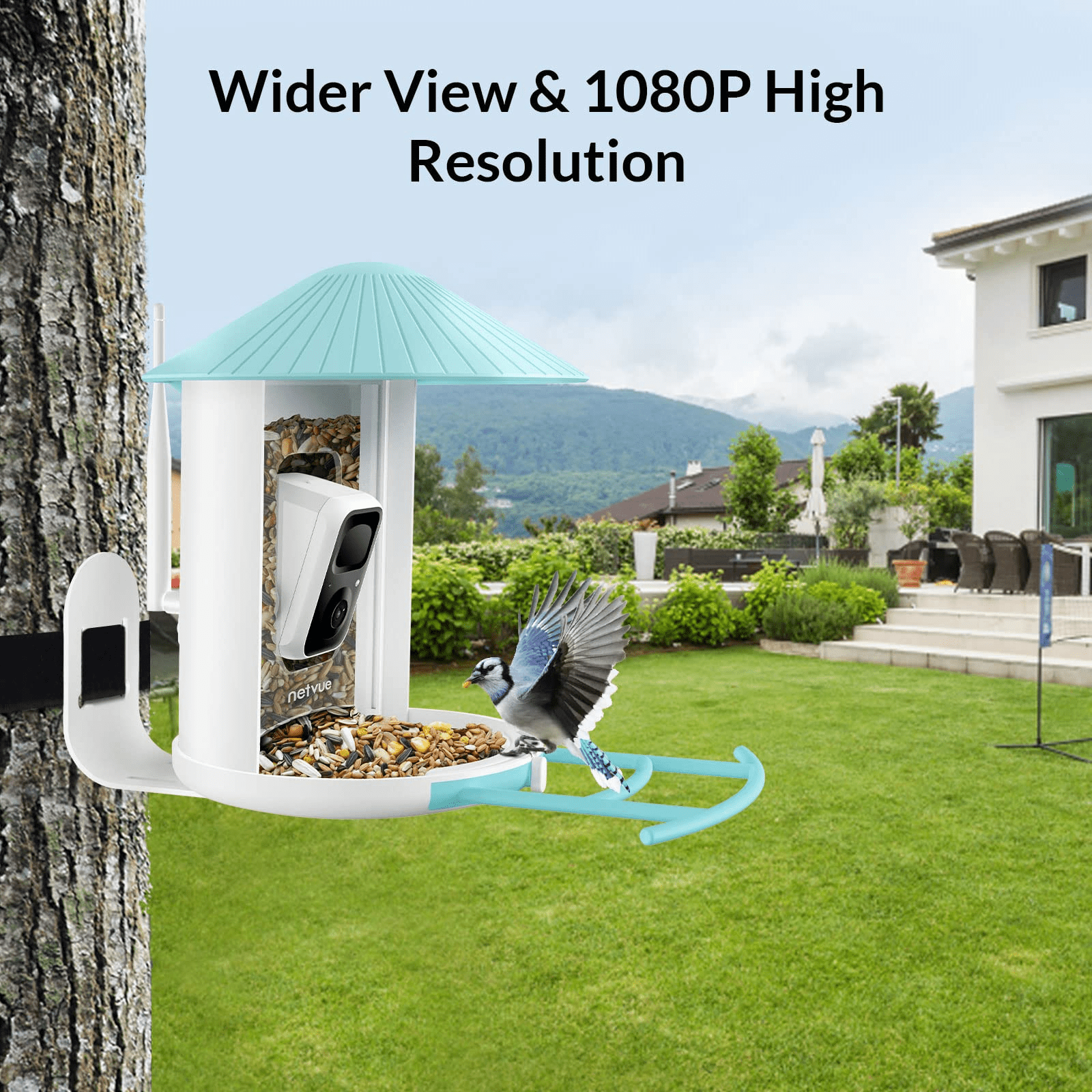 Bird Feeder with Camera, Netvue Birdfy Smart Bird Watching Camera with Solar Panel, Blue(Lite+Solar)