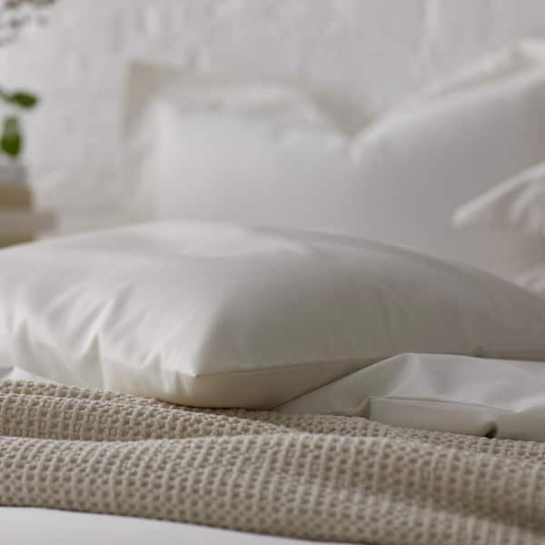 Company Cotton White Solid 300-Thread Count Wrinkle-Free Sateen Standard Pillowcase (Set of 2)