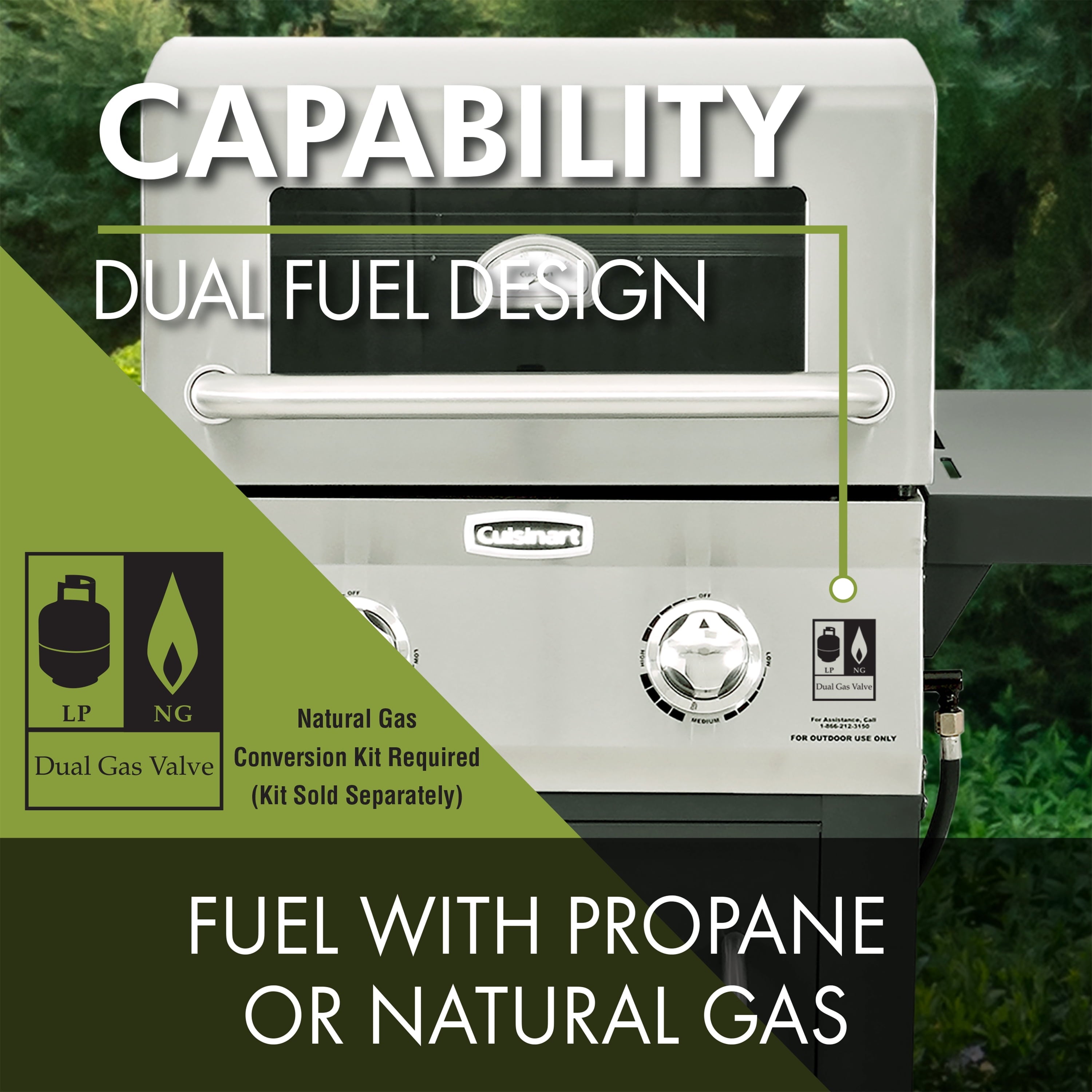 Two Burner Dual Fuel Gas Grill