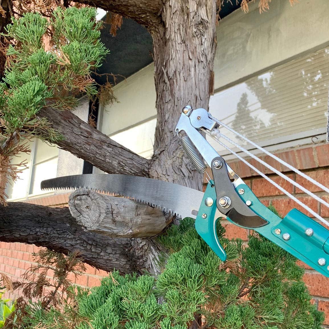 Lavo Home Telescoping Tree & Shrub Pole Pruner Saw 14 Foot Extendable