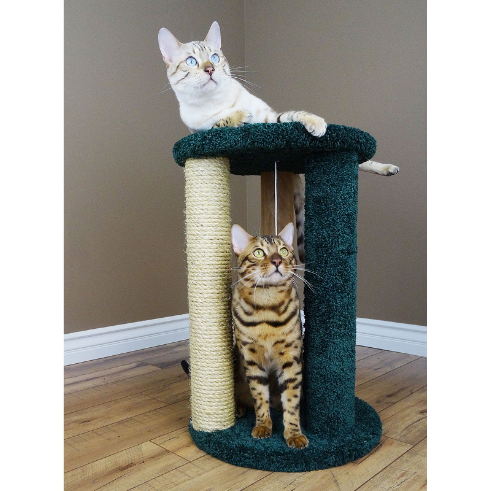 New Cat Condos Round Multi Cat Scratcher