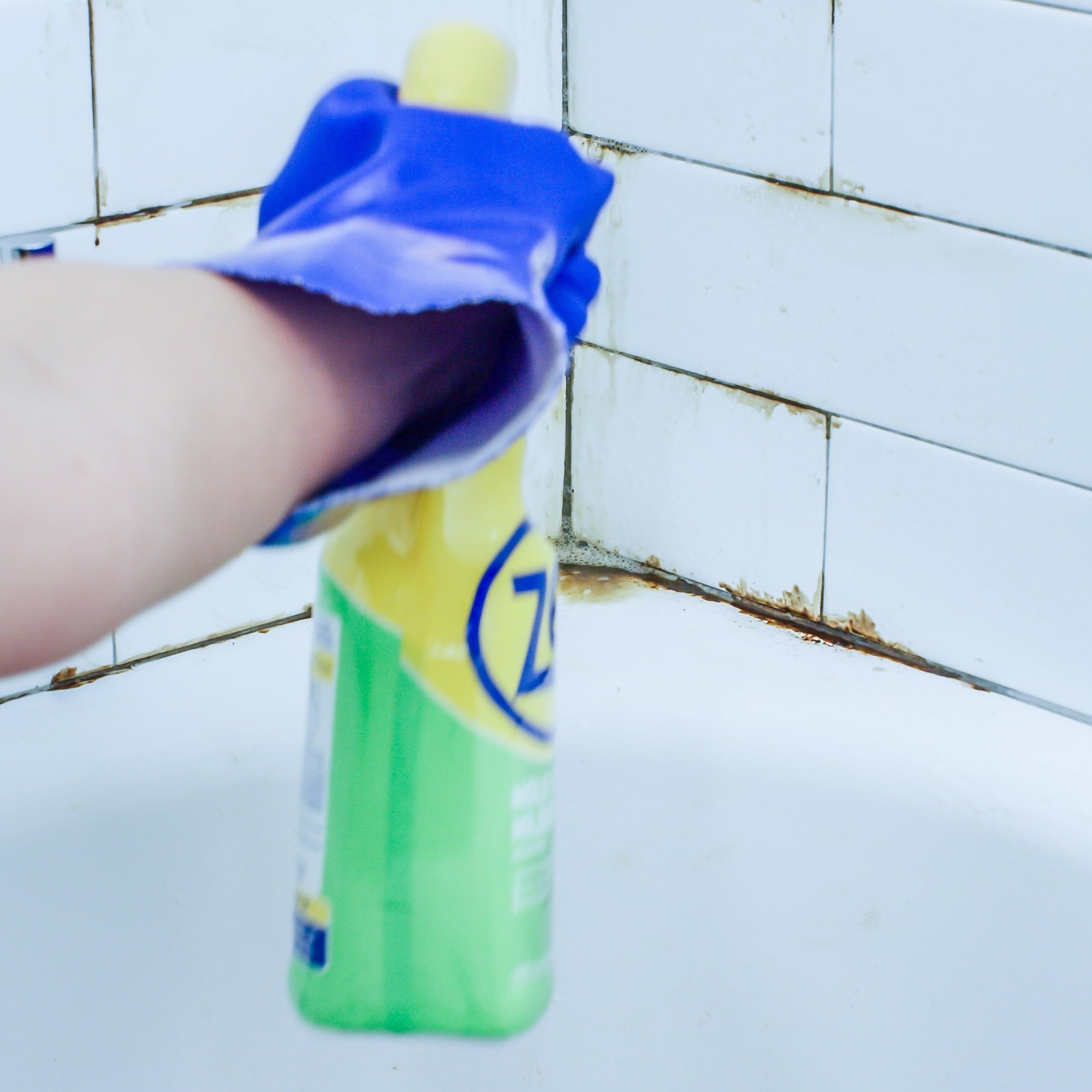 Zep Mold & Mildew Stain Remover