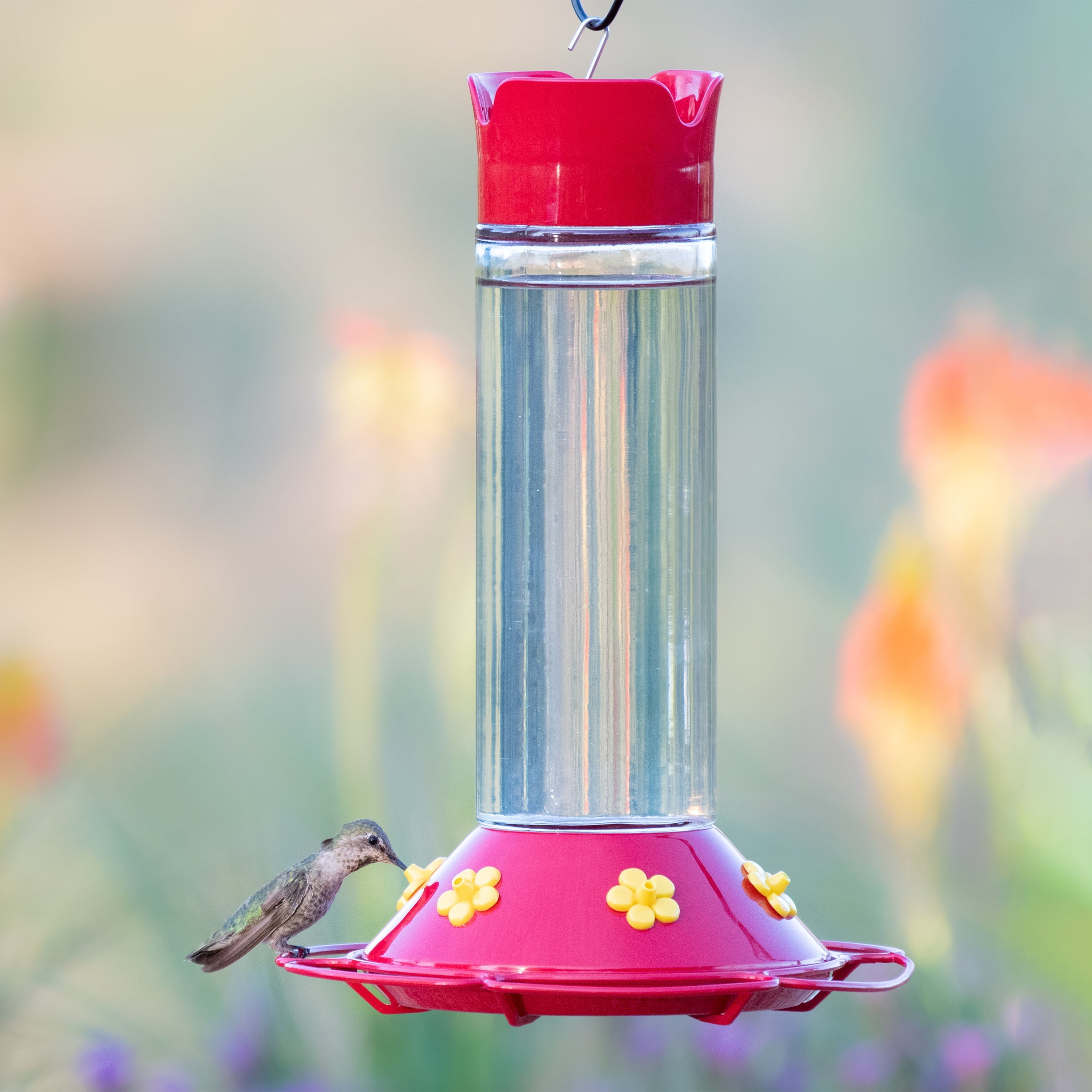 Perky-Pet Red Our Best Glass Hummingbird Feeder – 30 oz Capacity