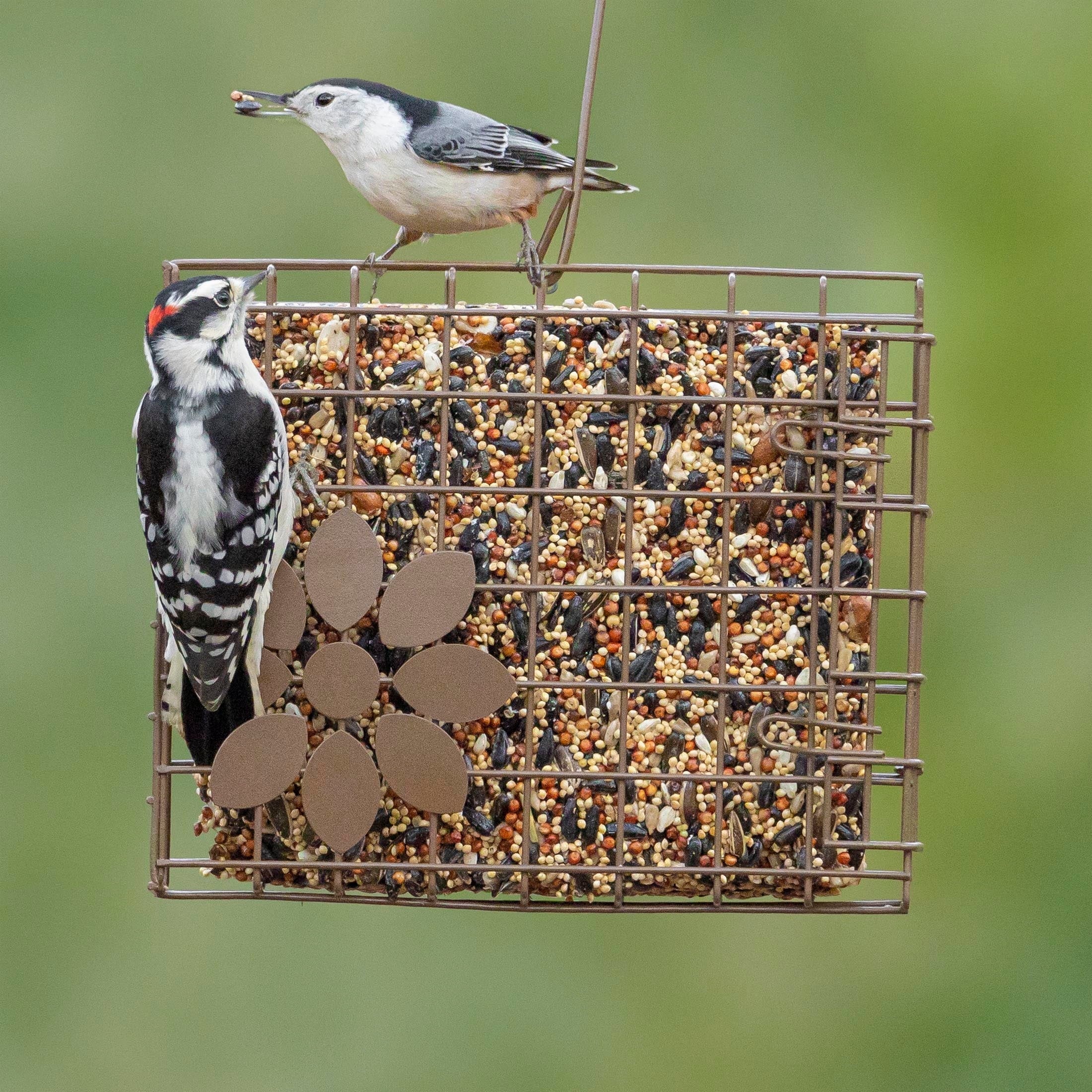 Audubon Park Seed Cake Basket Wild Bird Feeder, Bronze Finish