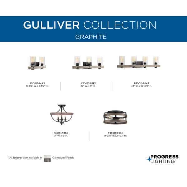 Gulliver 22 in. 2-Light Graphite and Weathered Driftwood Farmhouse Flush Mount Ceiling Light