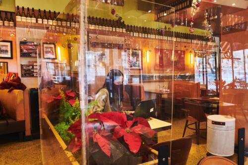 Airpura Powdered Coated Galvanized Metal Air Purifier