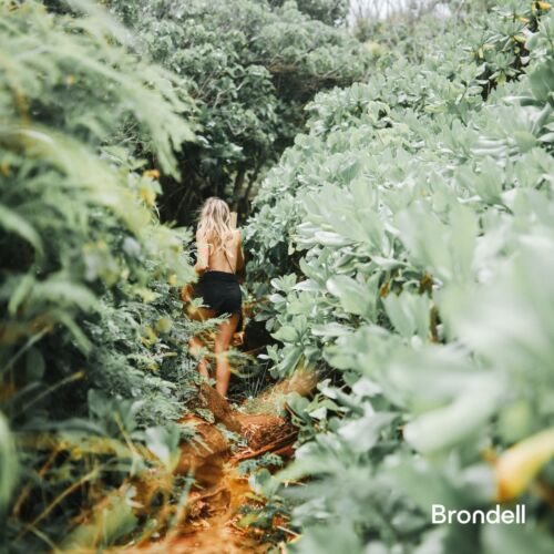 Brondell Bidet Toilet Seat Non-Electric Swash Ecoseat, Fits Elongated Toilets...