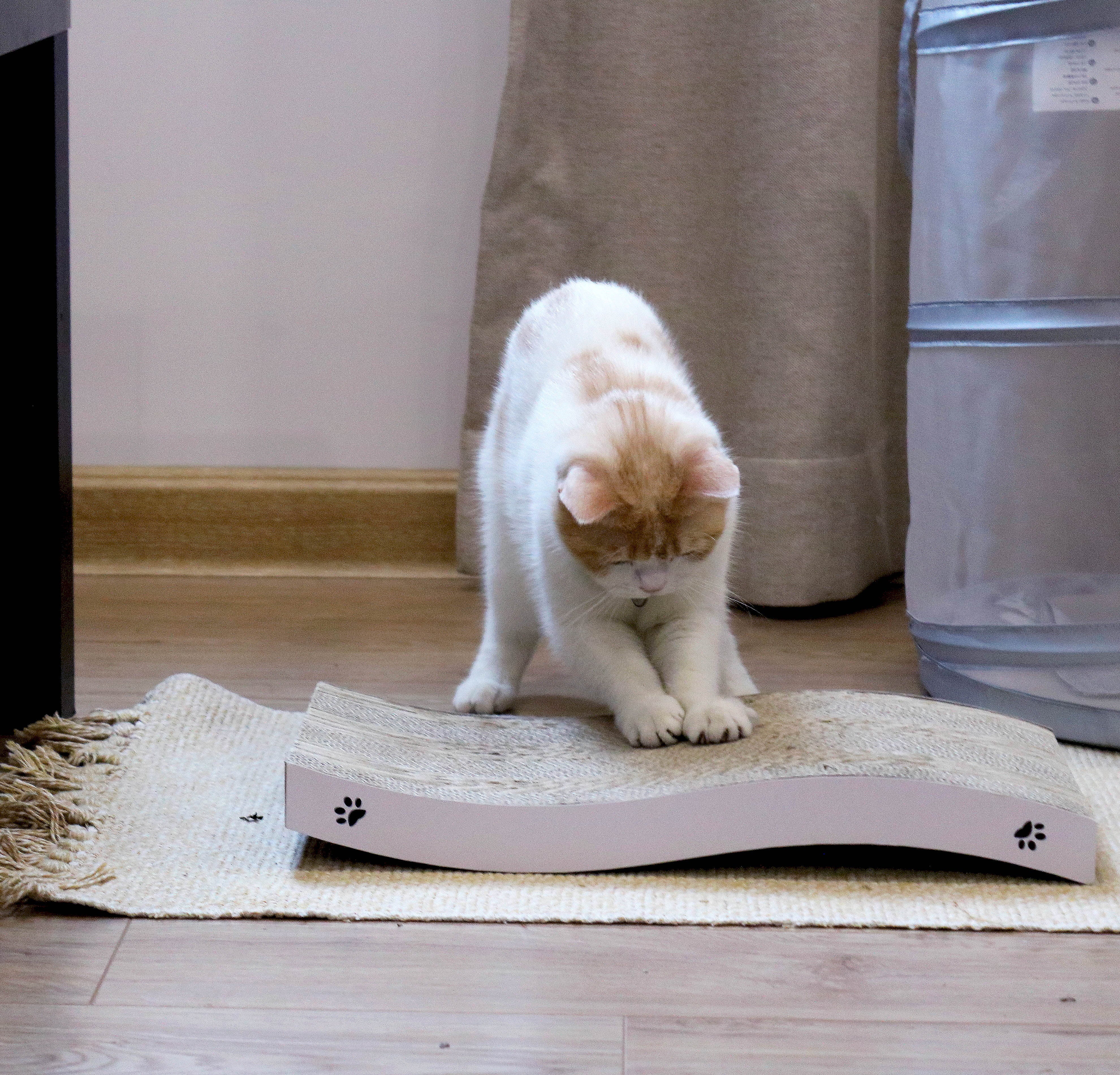 Conlun Cat Scratcher Cardboard with Premium Scratch Textures Design, Durable, Reversible