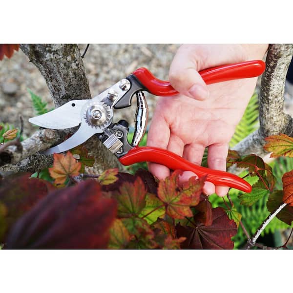 Heavy-Duty Forged By-Pass Pruner with Pin Bearing